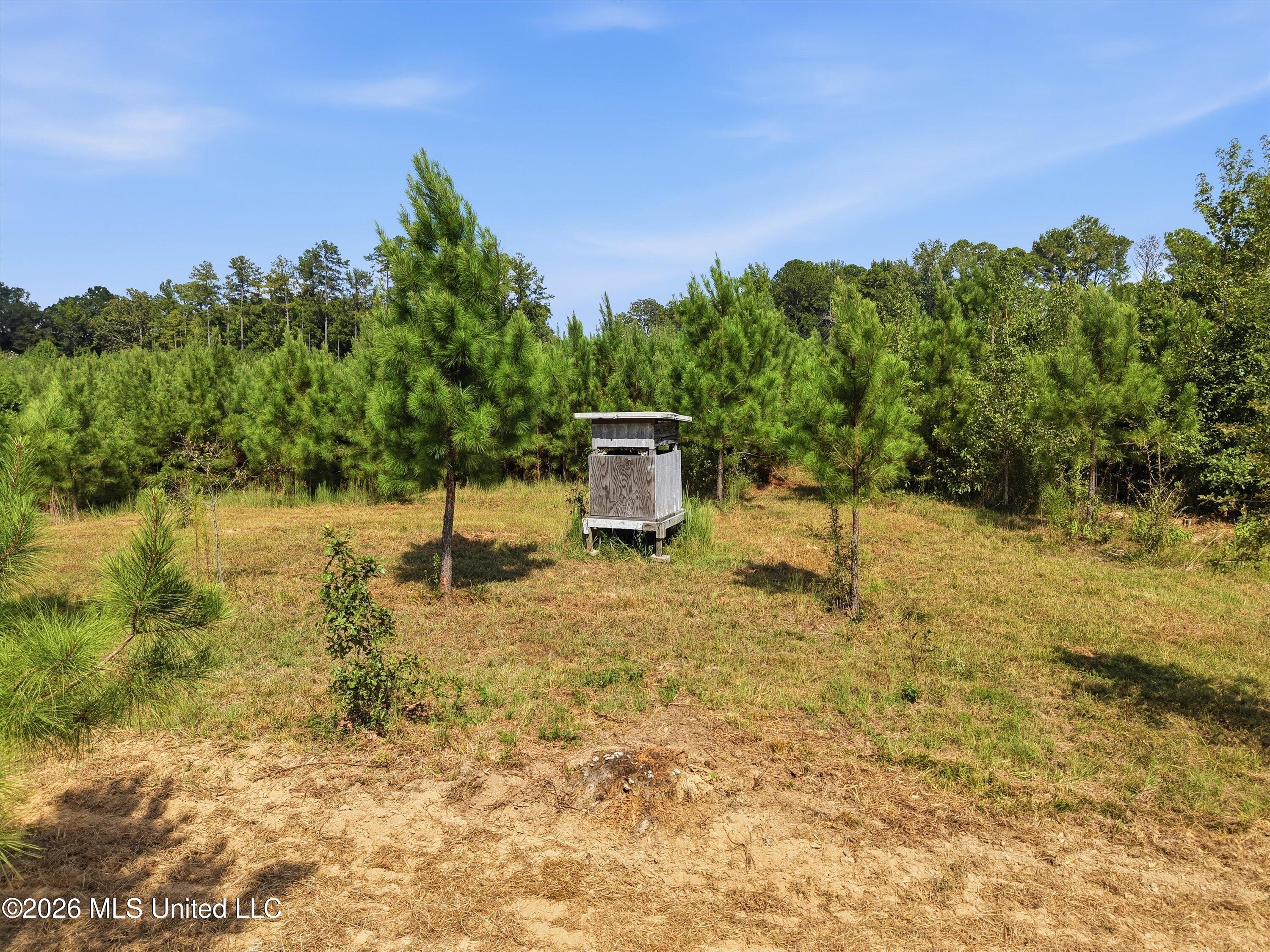 Ms-35 Property Photo 21