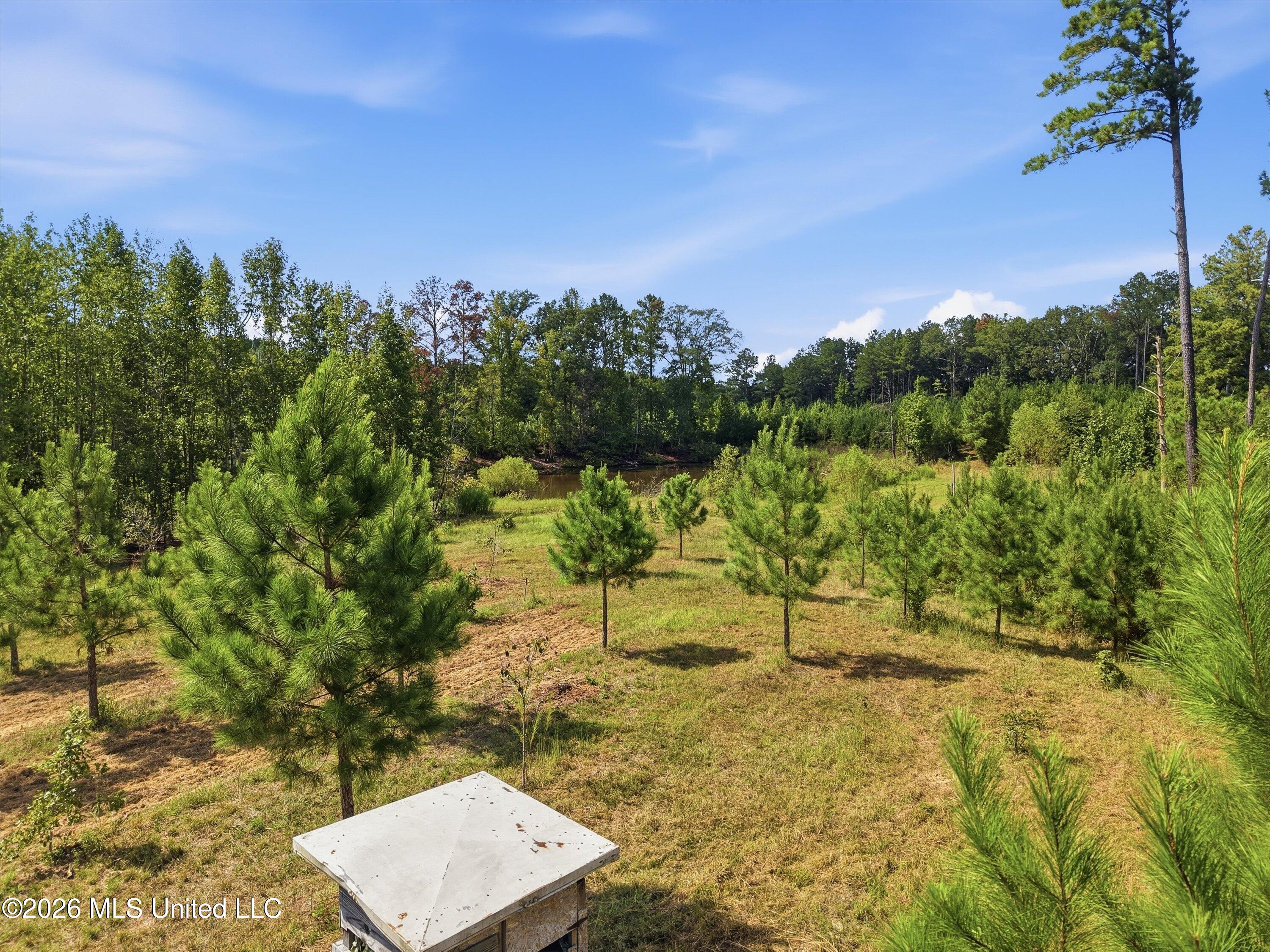 Ms-35 Property Photo 23