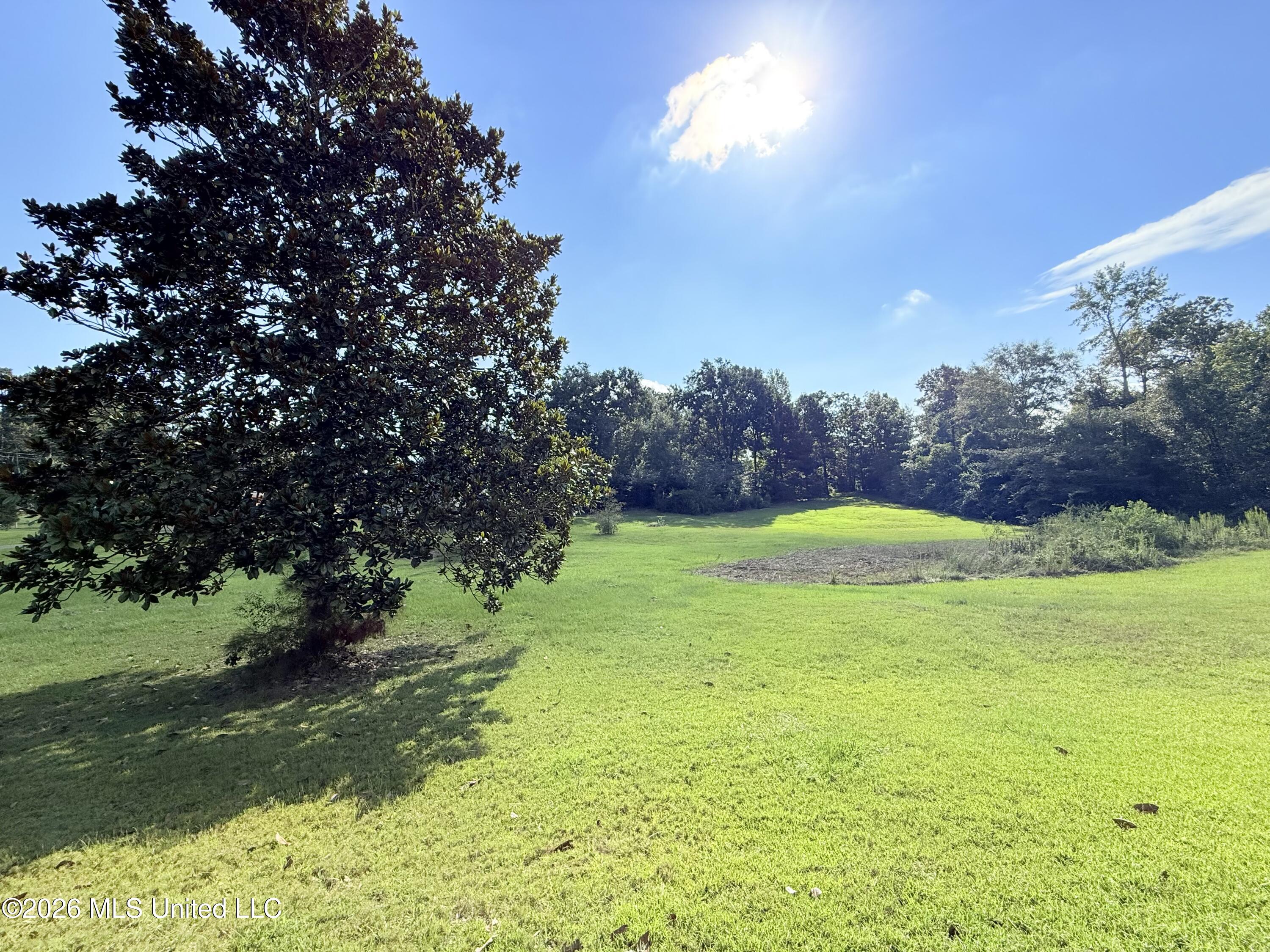 1062 Robinson Road Property Photo 17