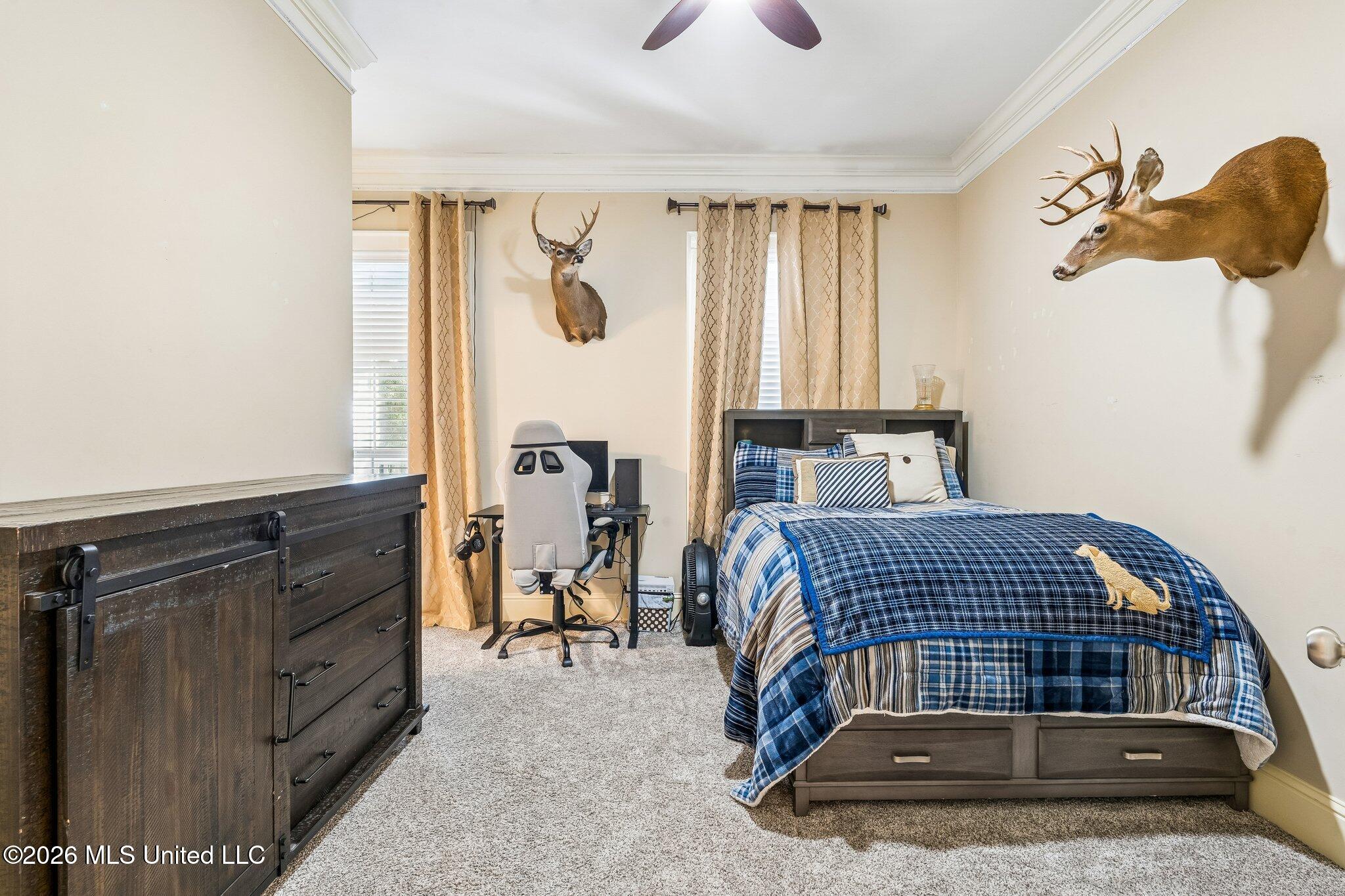 3529 Montgomery Lane Property Photo 23