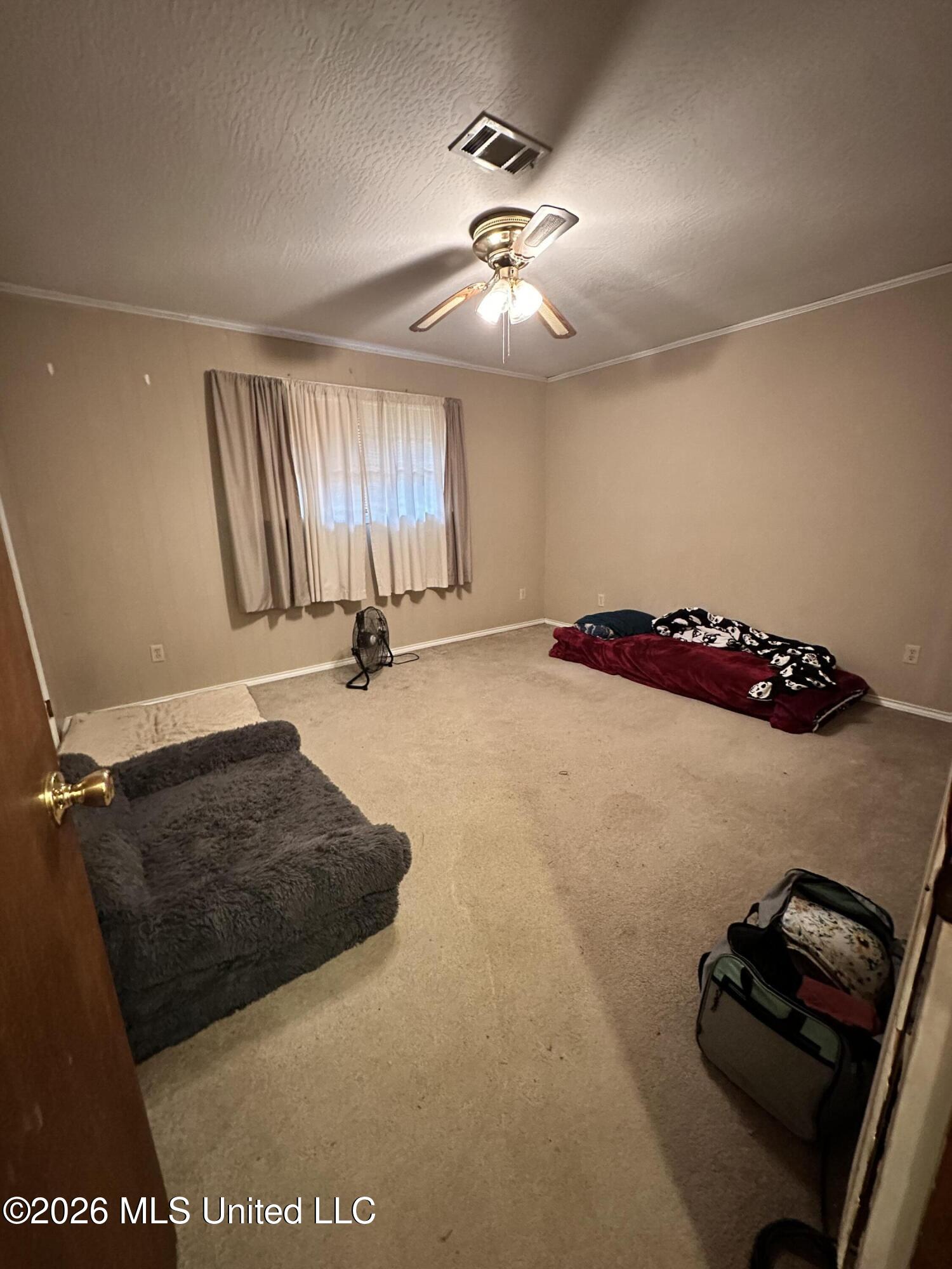 17 Howard Street Property Photo 12