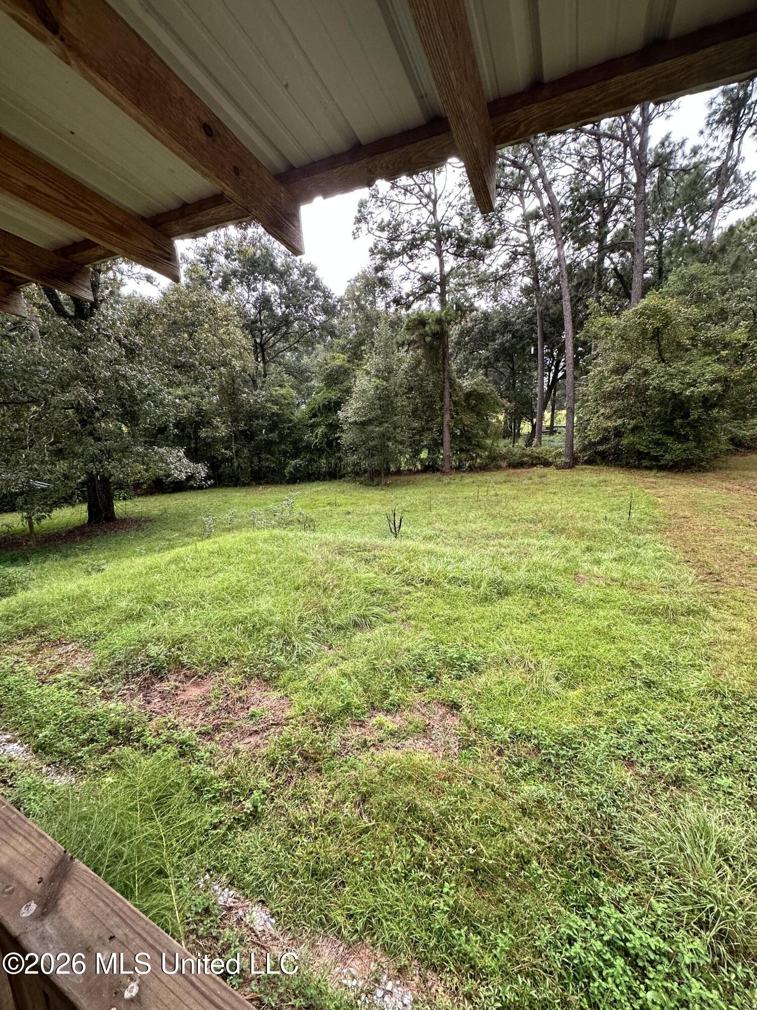 17 Howard Street Property Photo 22