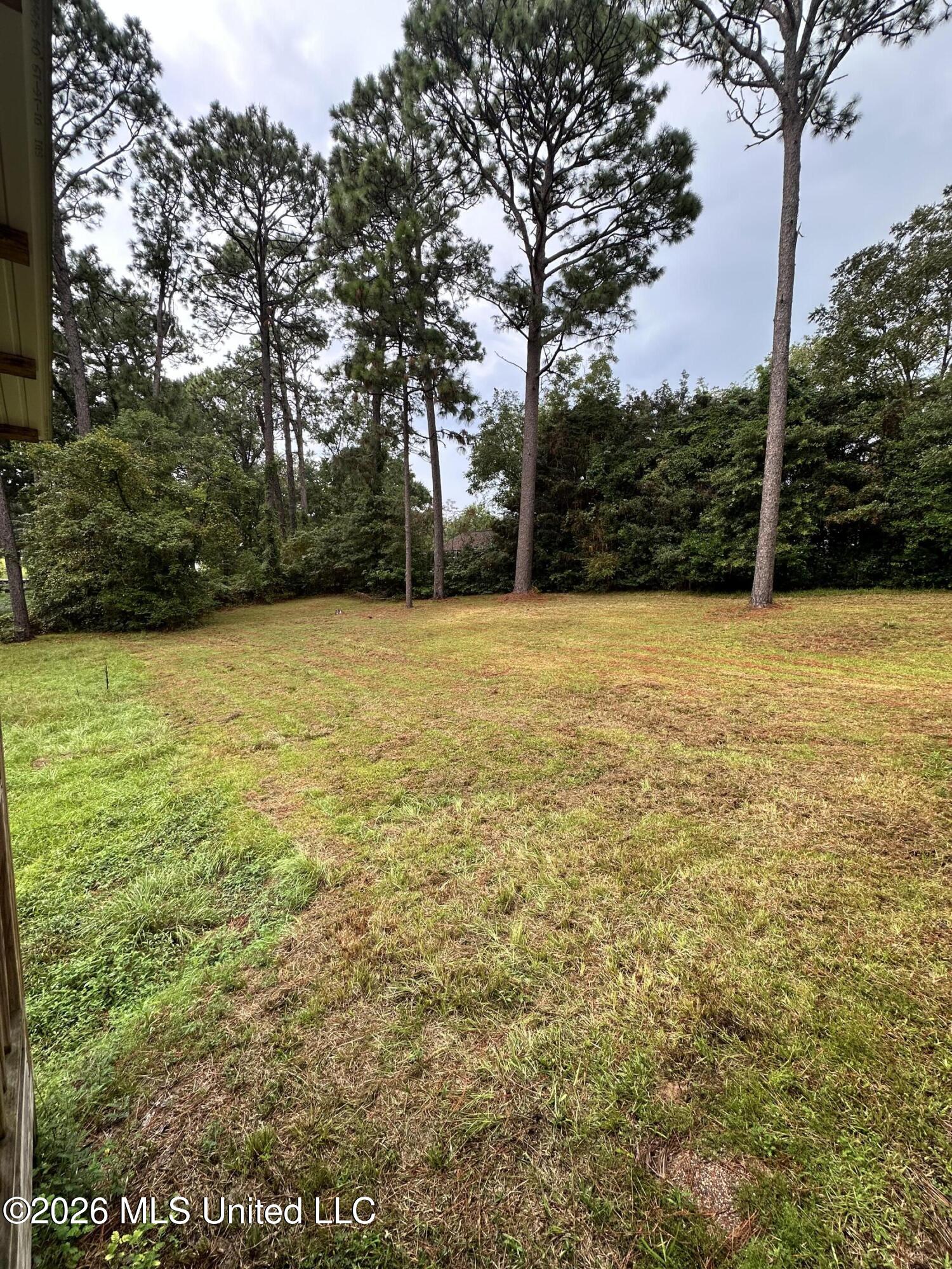 17 Howard Street Property Photo 23