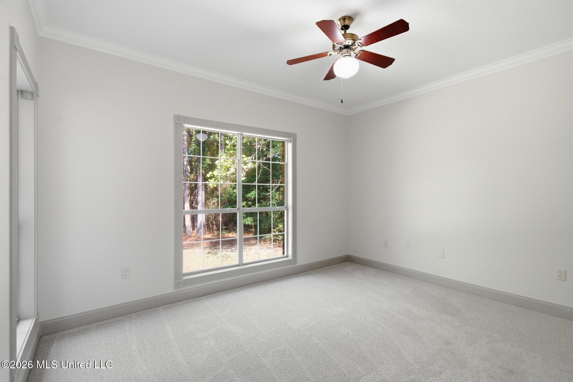 127 Cherry Oak Trail Property Photo 28