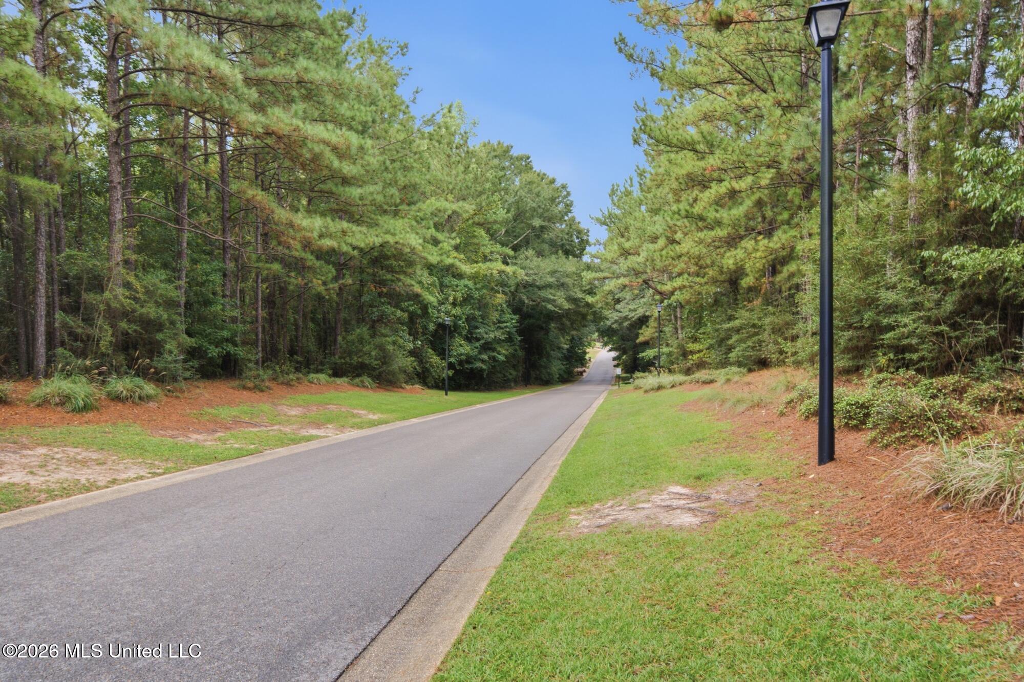127 Cherry Oak Trail Property Photo 39