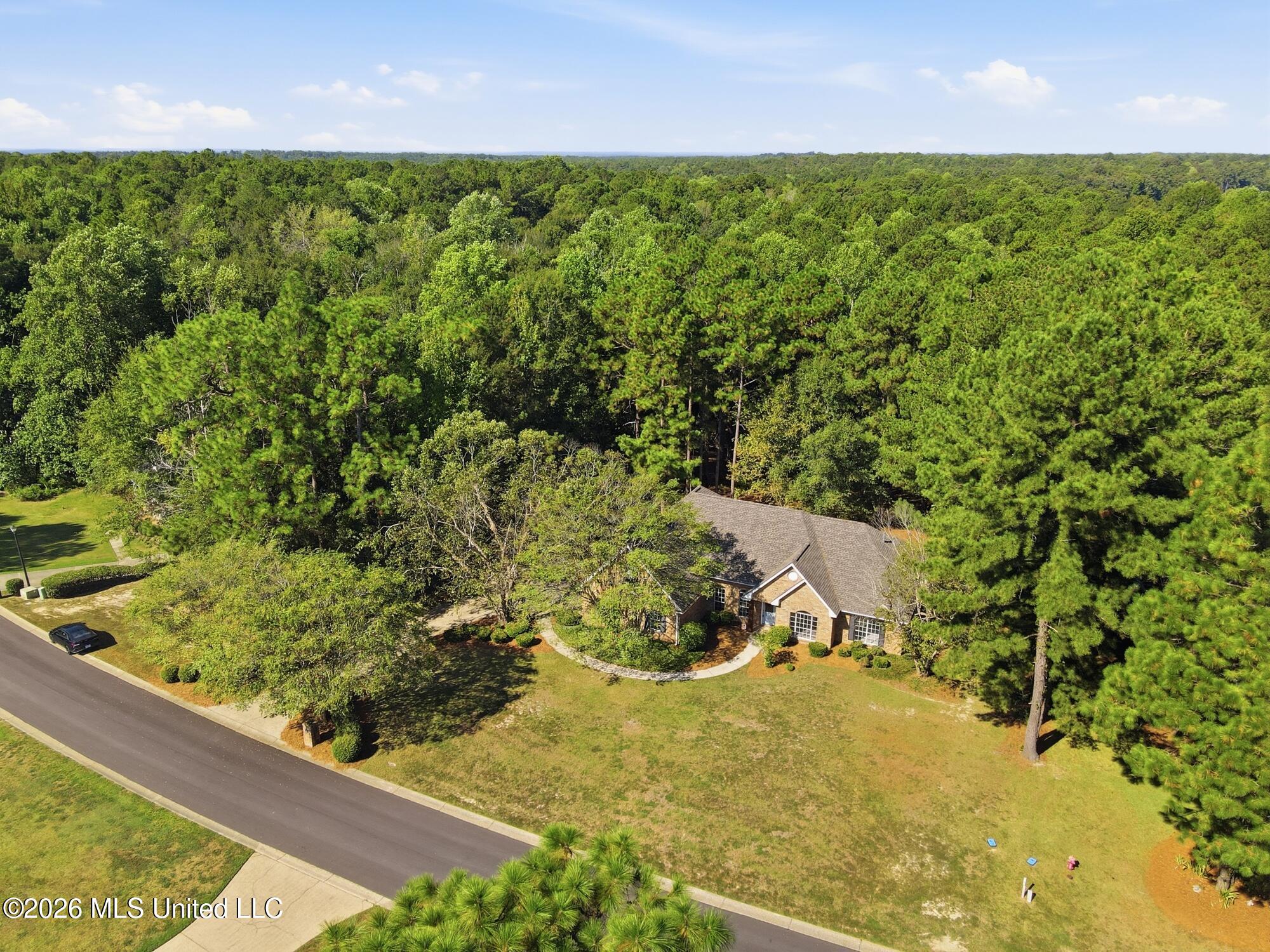 127 Cherry Oak Trail Property Photo 42