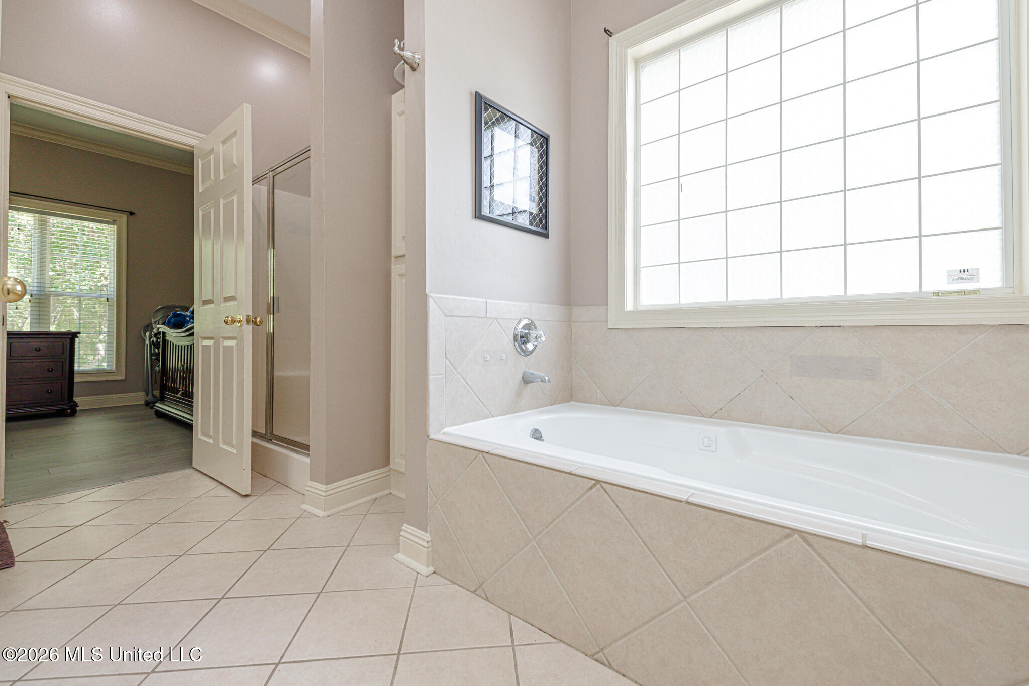 245 Cannon Ridge Drive Property Photo 22