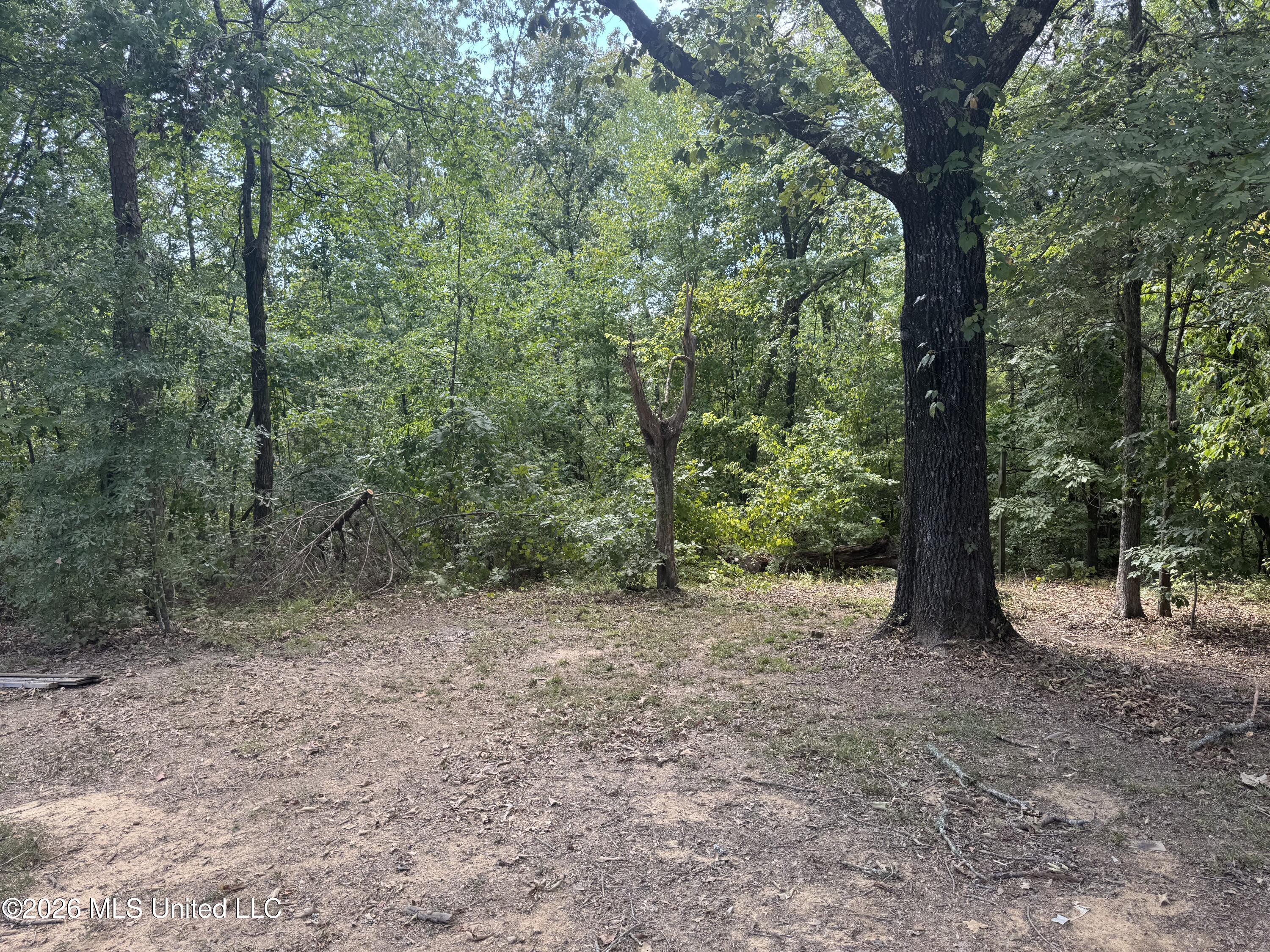 191 Bob White Lane Property Photo 25