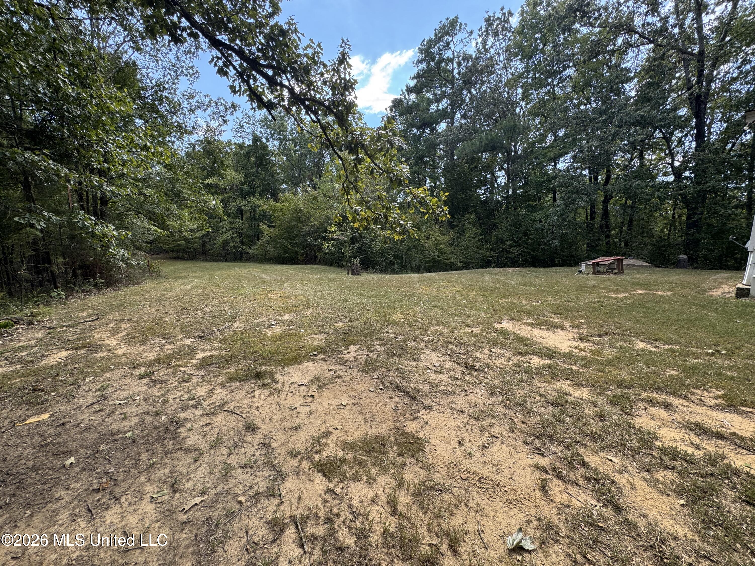 191 Bob White Lane Property Photo 26