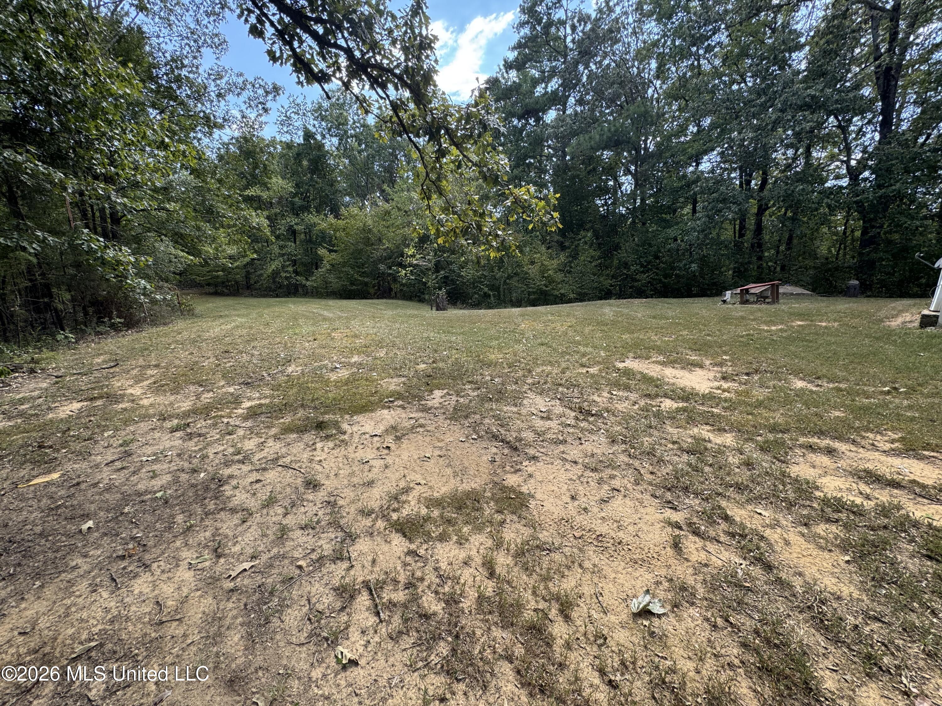 191 Bob White Lane Property Photo 28