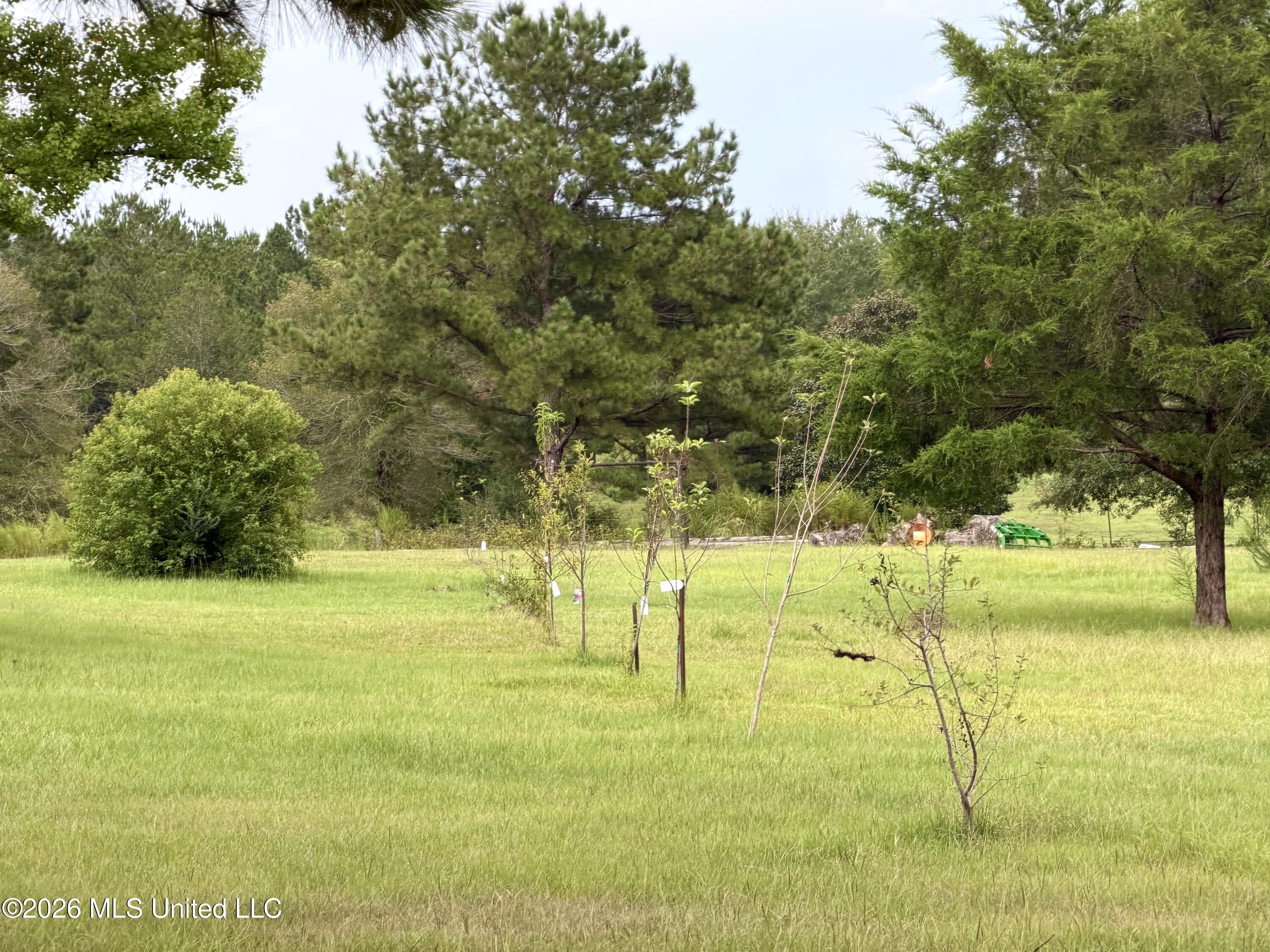3651 Ruth Drive Property Photo 34