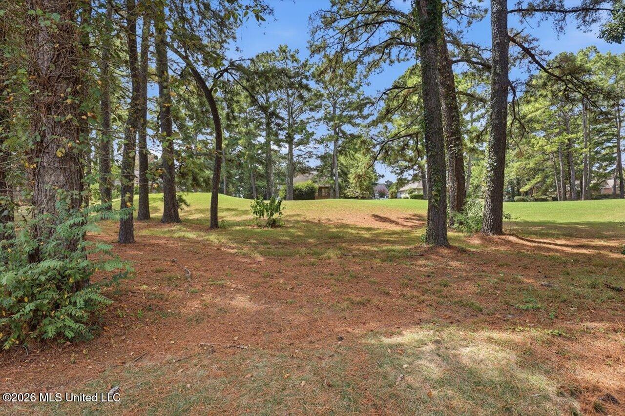489 Annandale Parkway Property Photo 44