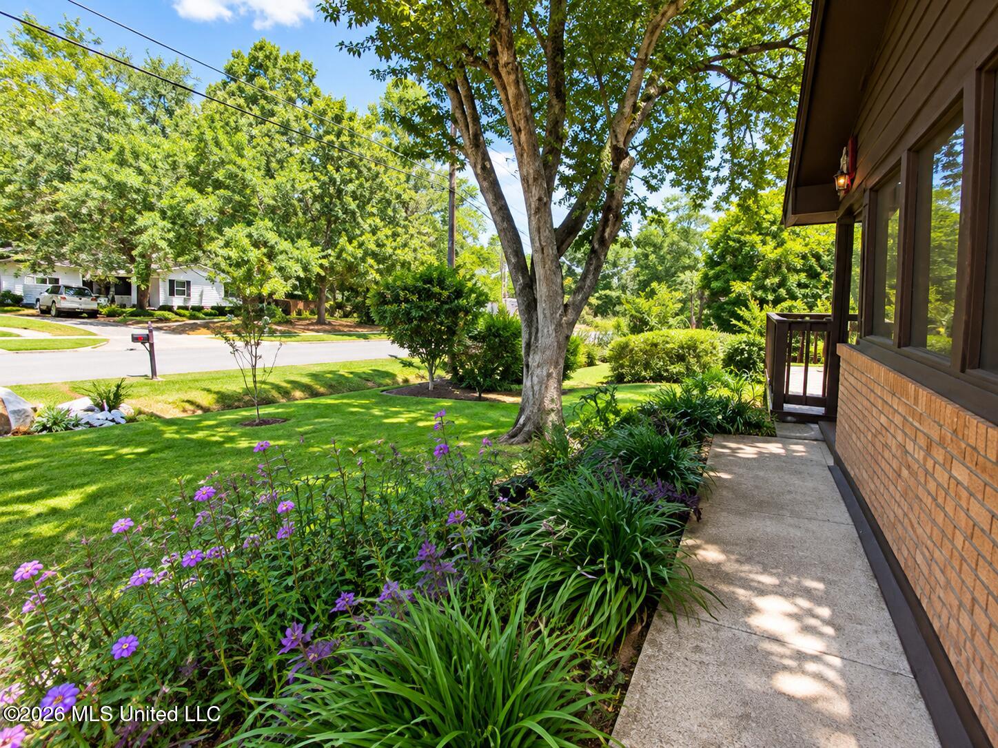 9936 Ana Hulu Street Property Photo 4