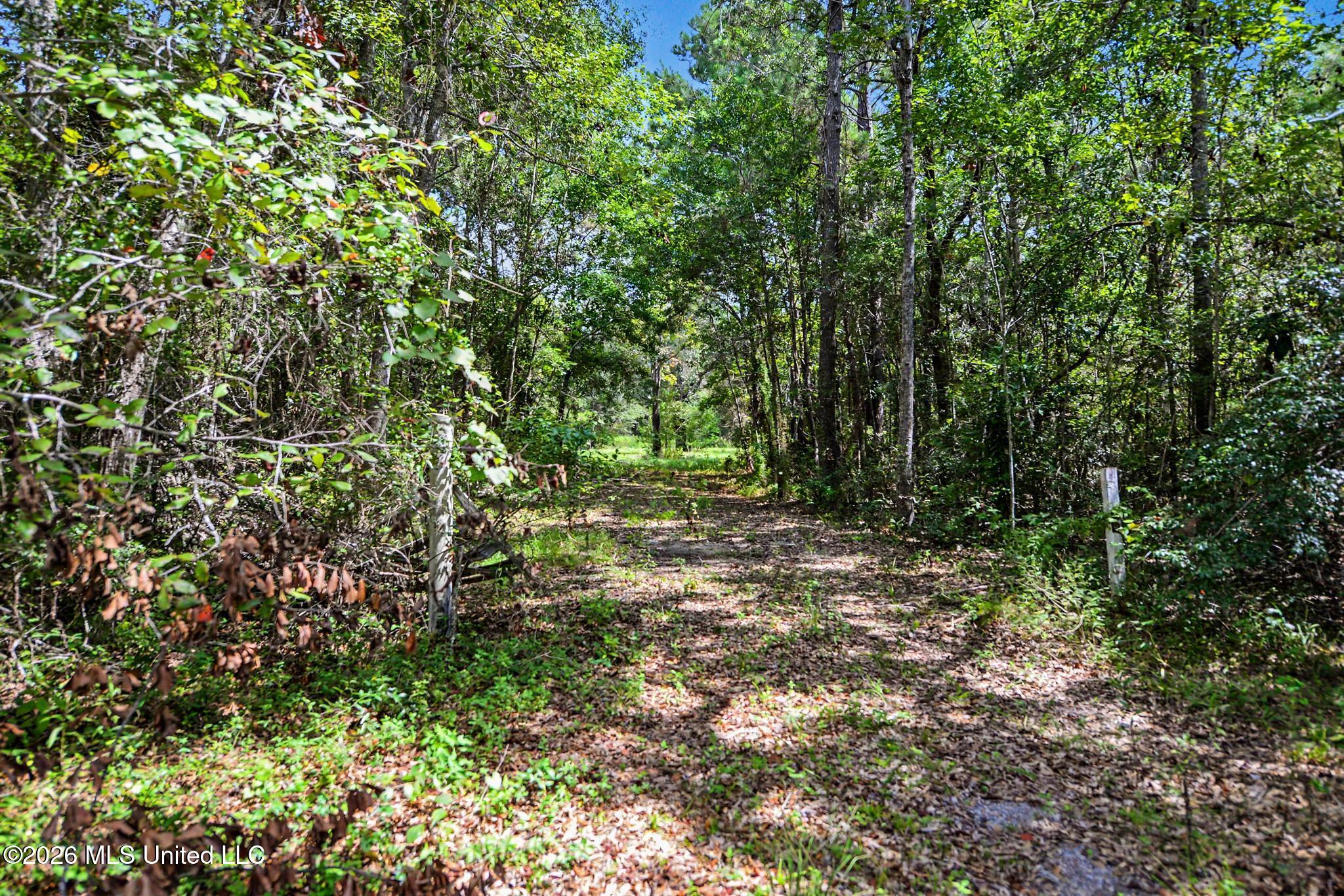 21448 Tucker Road Property Photo 6