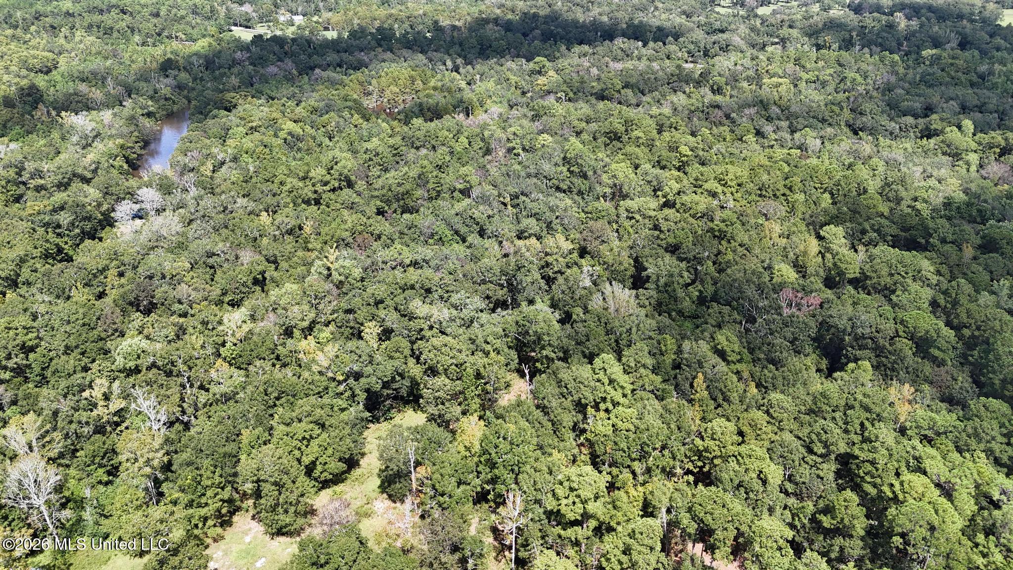21448 Tucker Road Property Photo 18