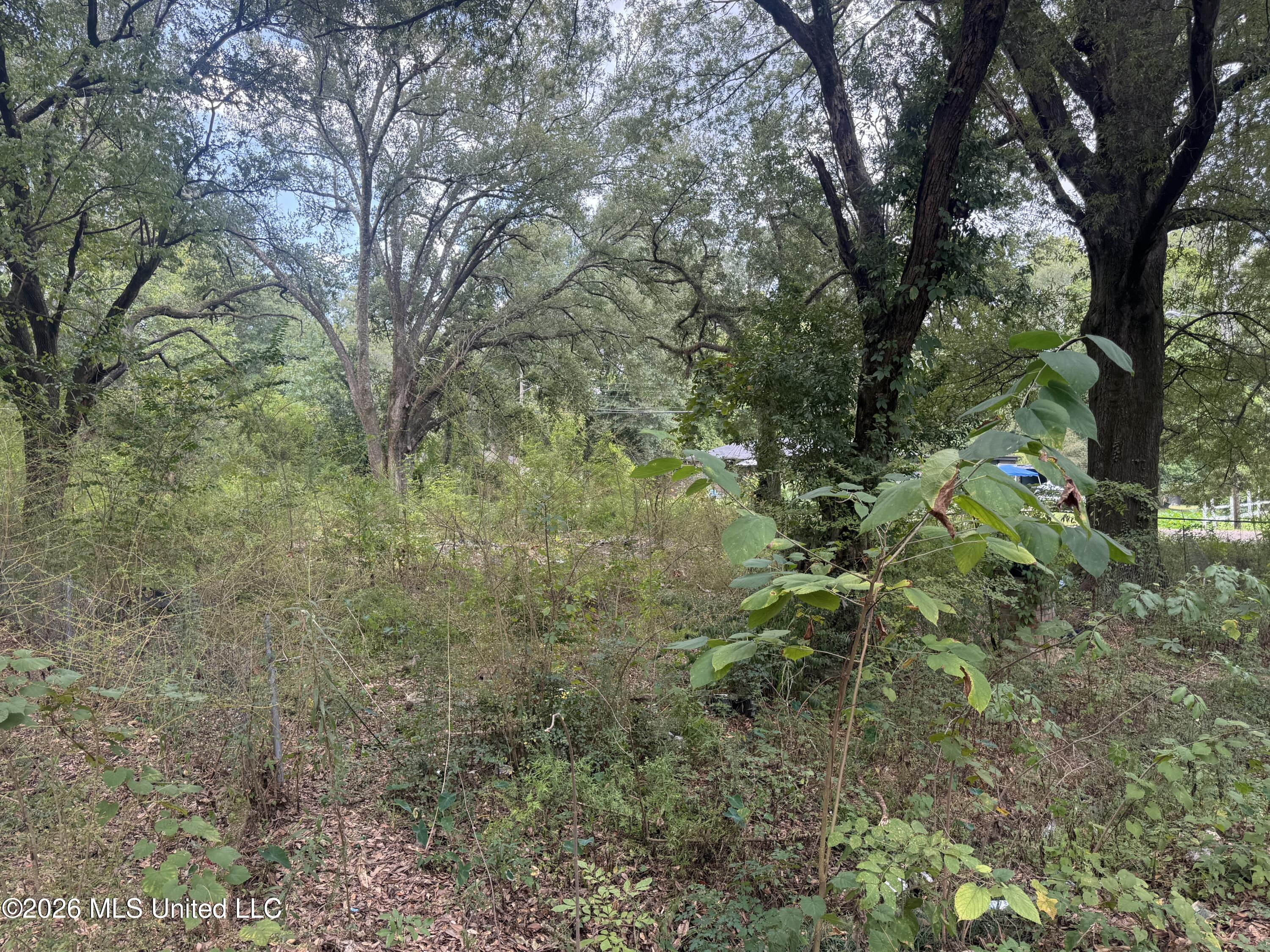 2950 Barwood Drive Property Photo 3