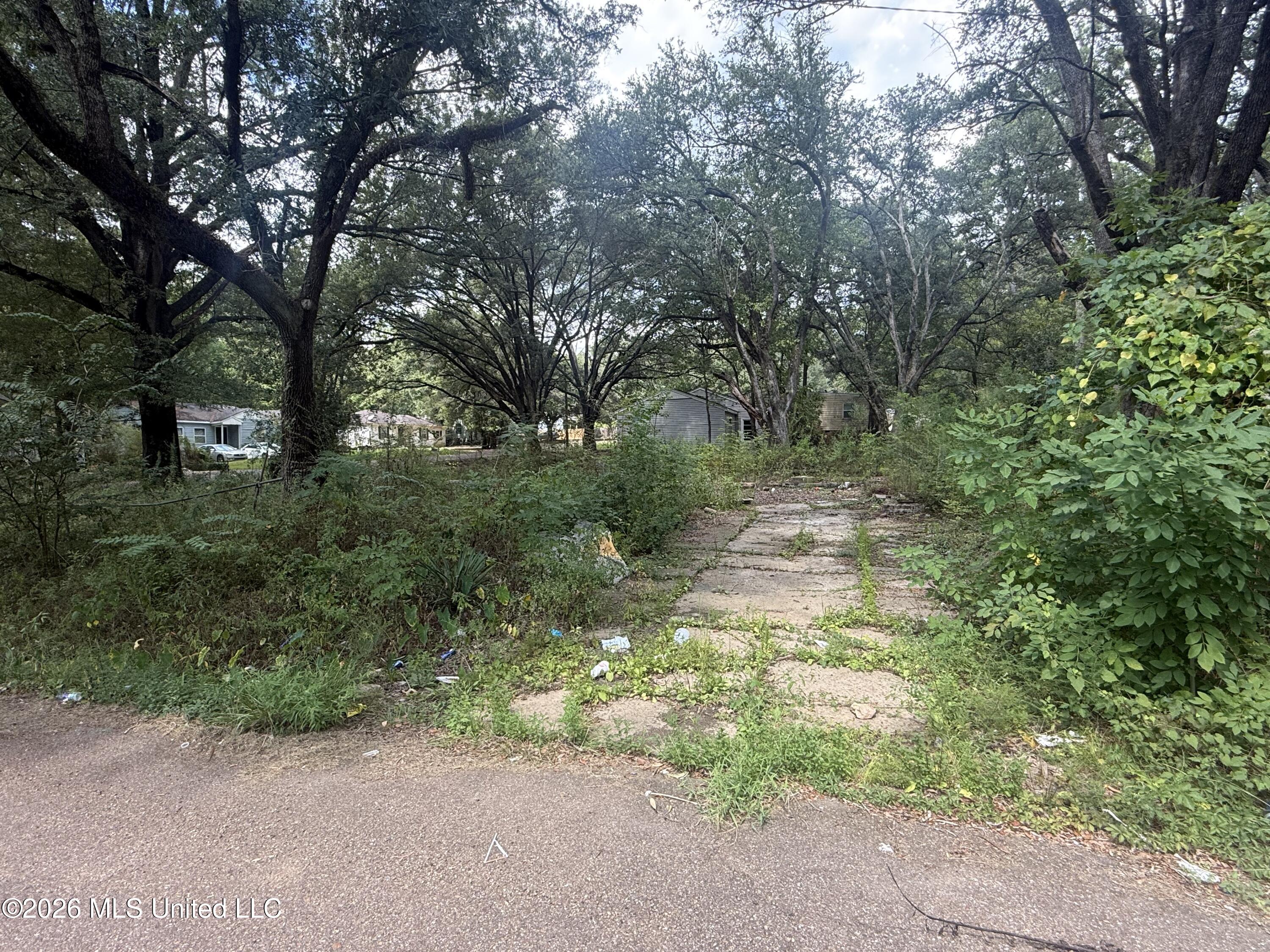 2950 Barwood Drive Property Photo 4