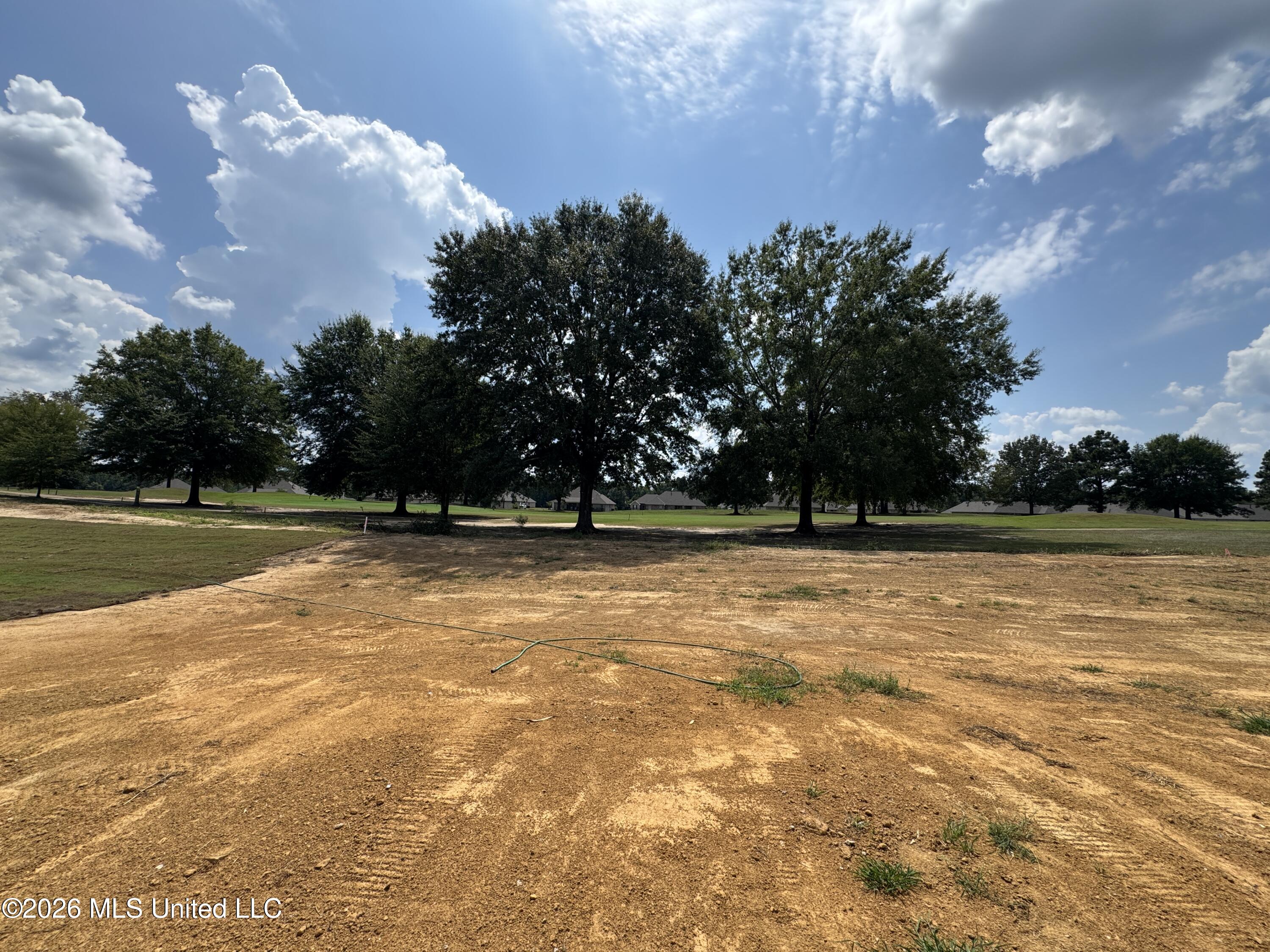 555 Patrick Farms Drive Property Photo 2
