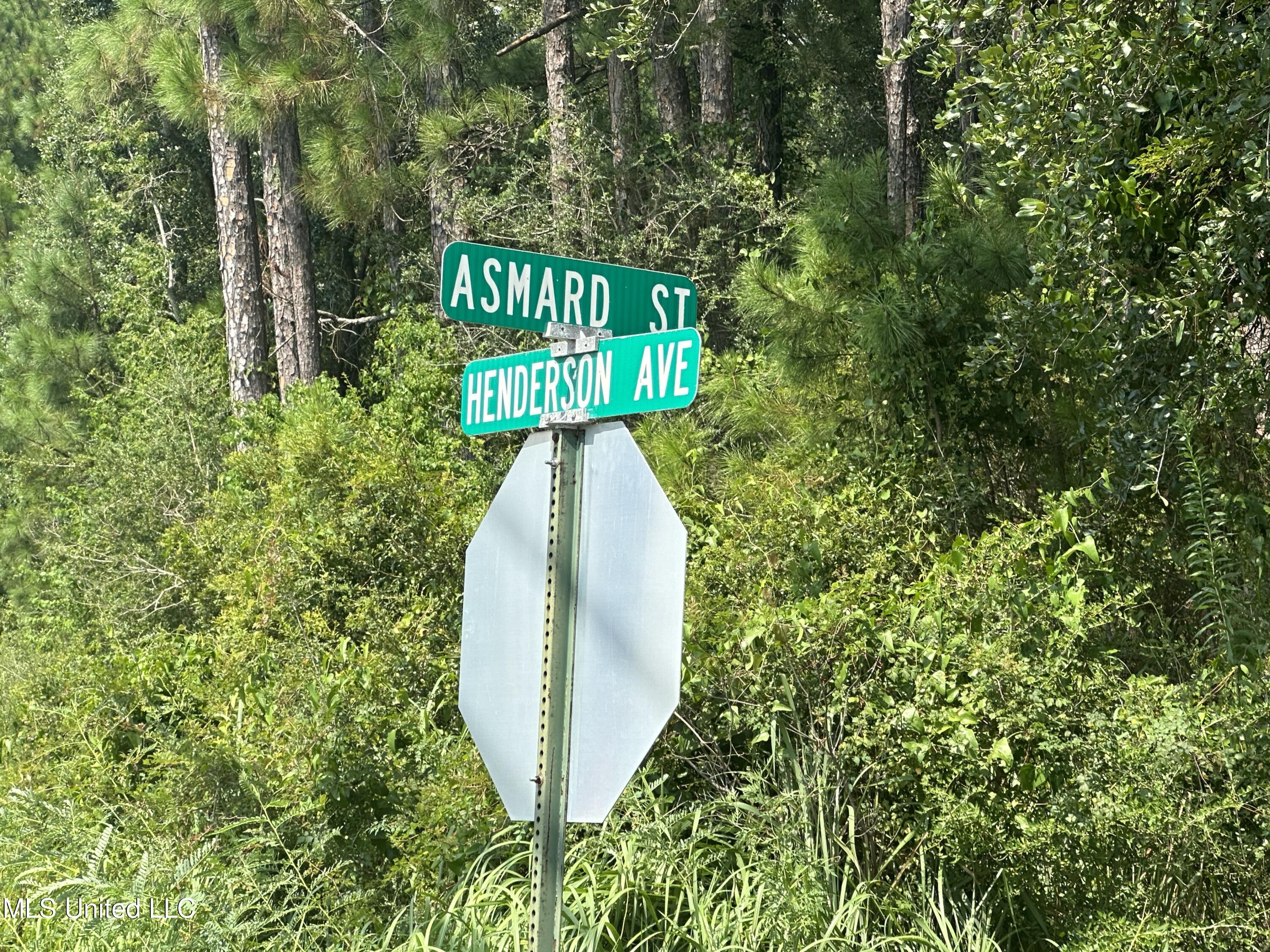 0 Asmard Street Property Photo 2