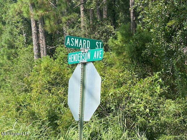 0 Asmard Street Property Photo 2