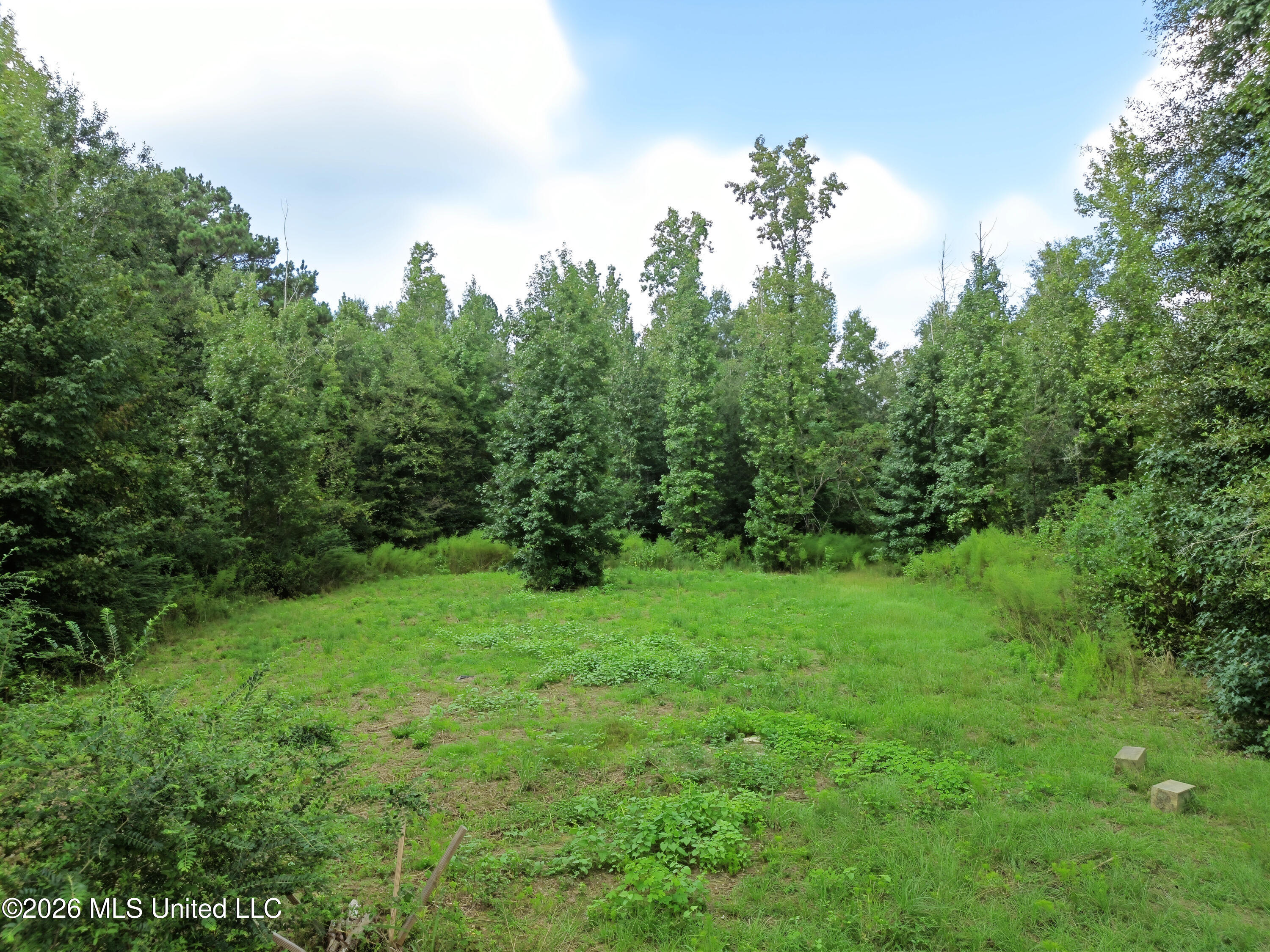172 E Bond Road Property Photo 29