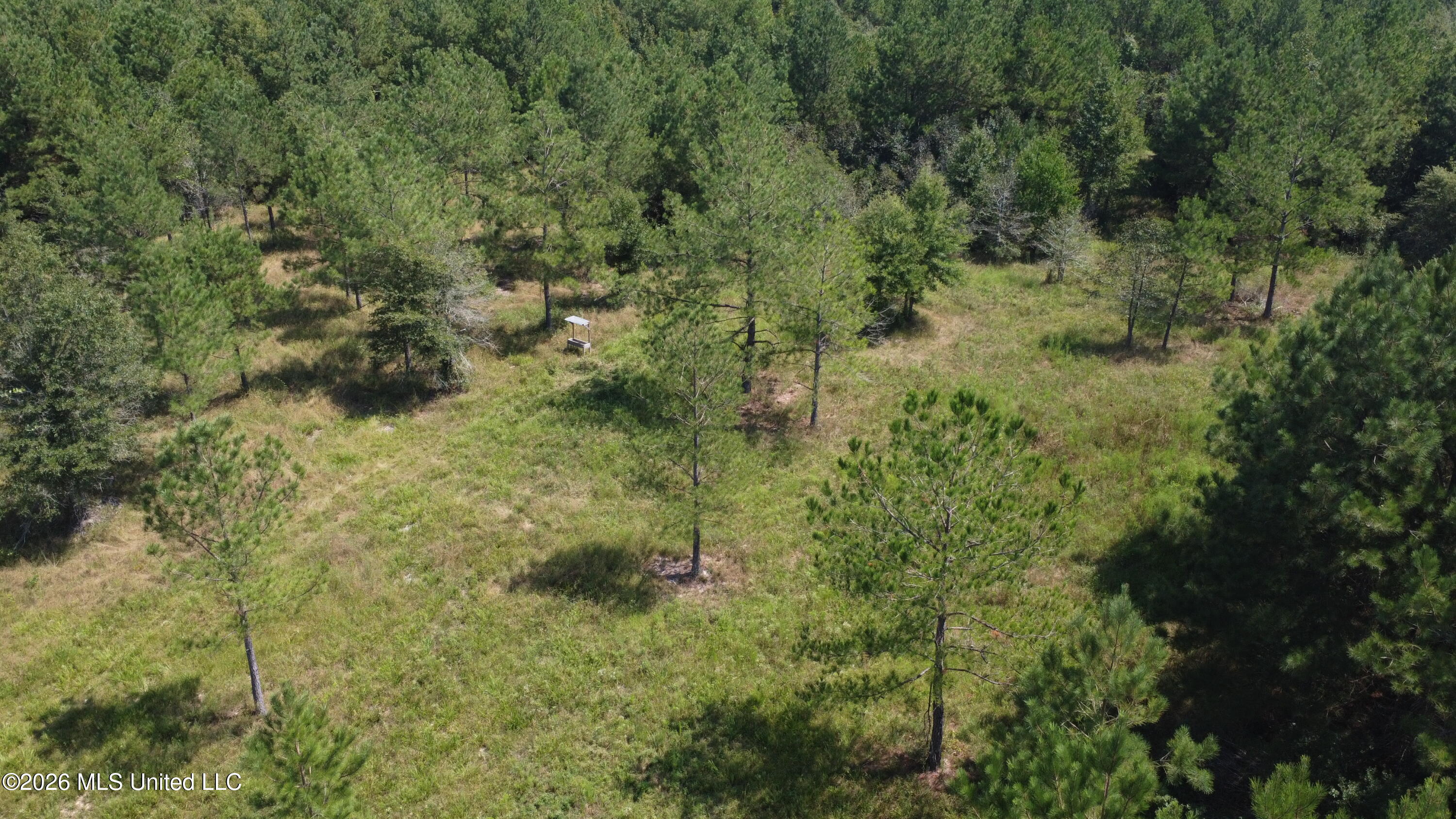 Mississippi 44 Property Photo 2