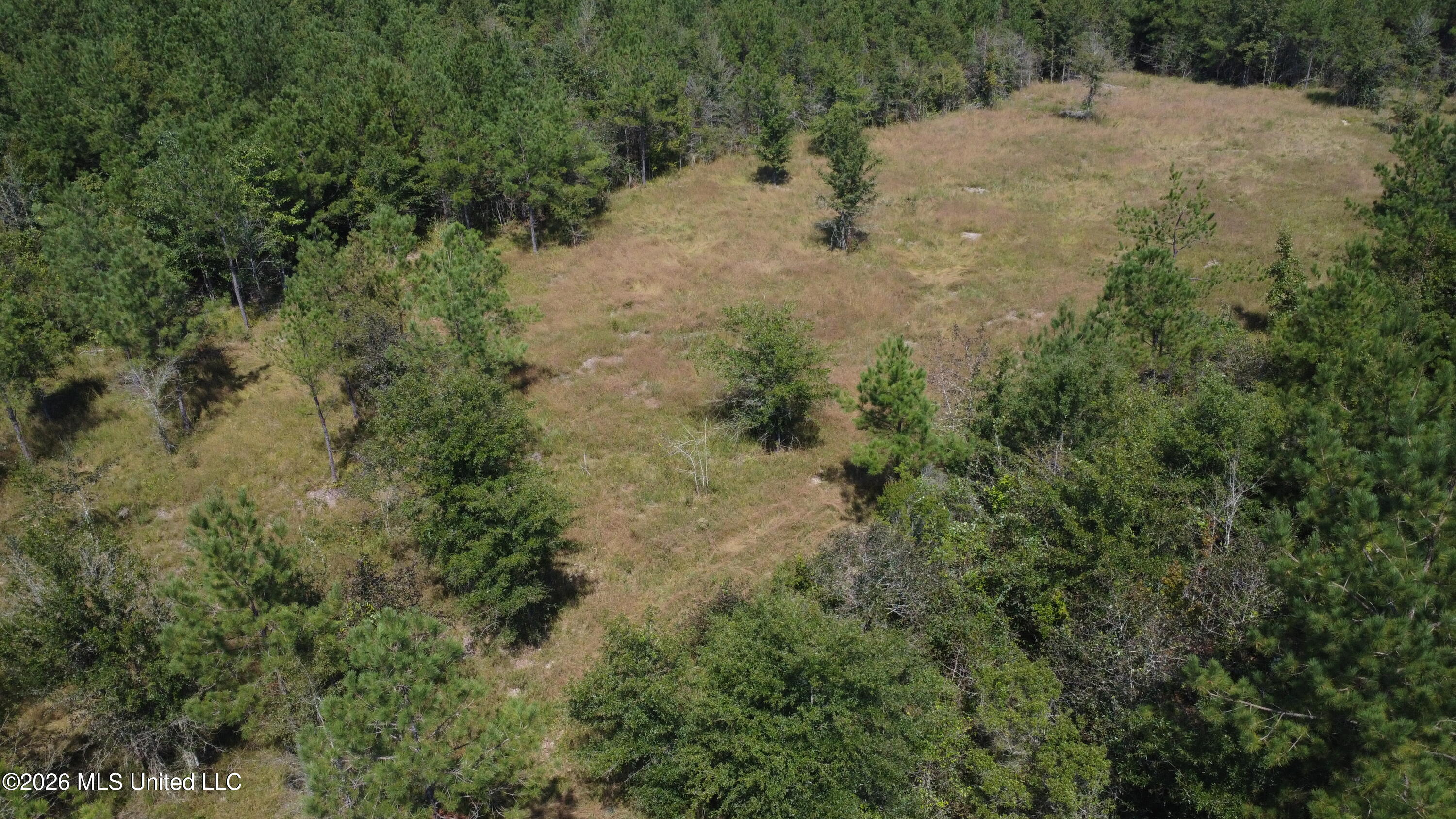 Mississippi 44 Property Photo 3