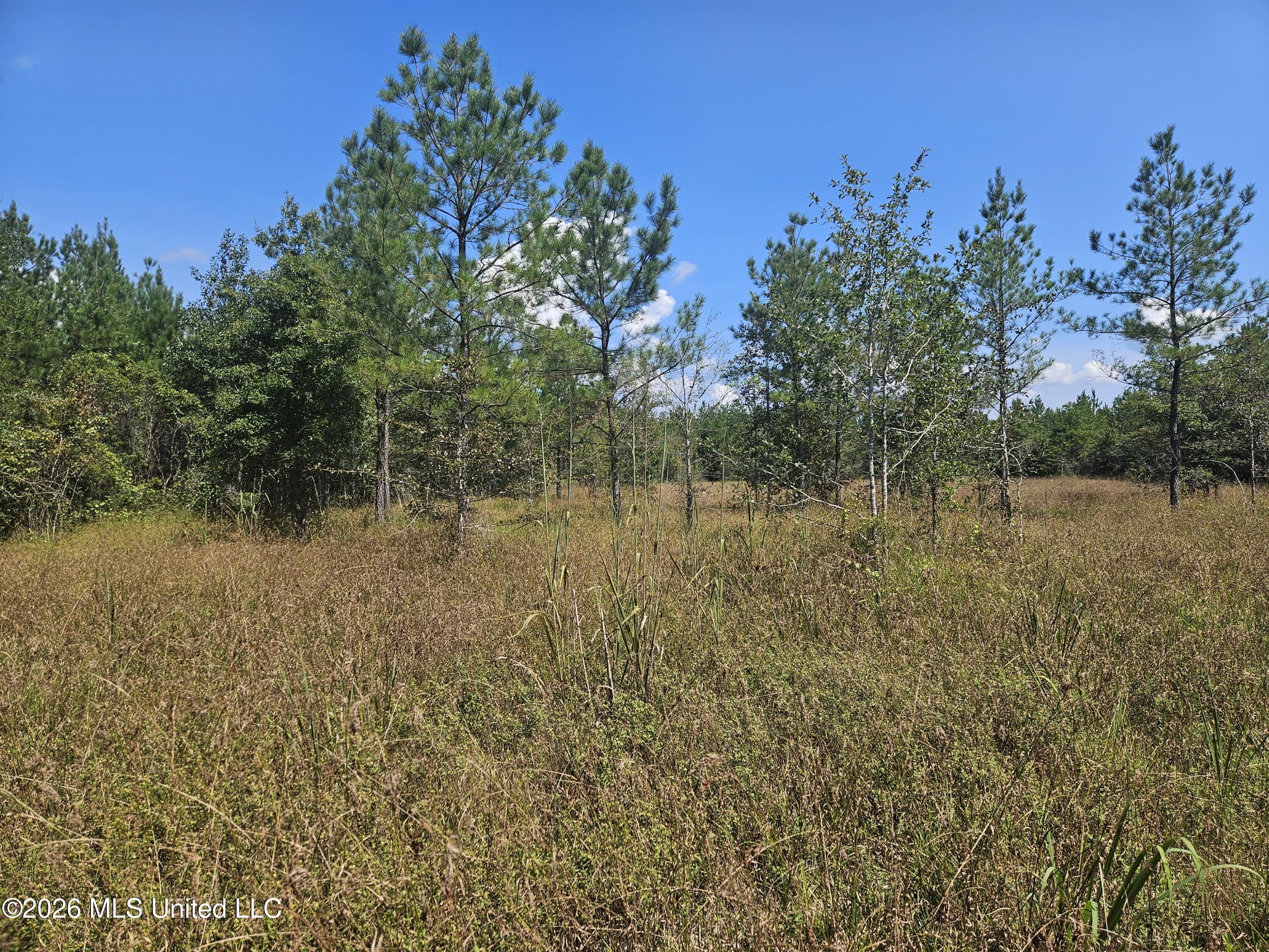 Mississippi 44 Property Photo 10
