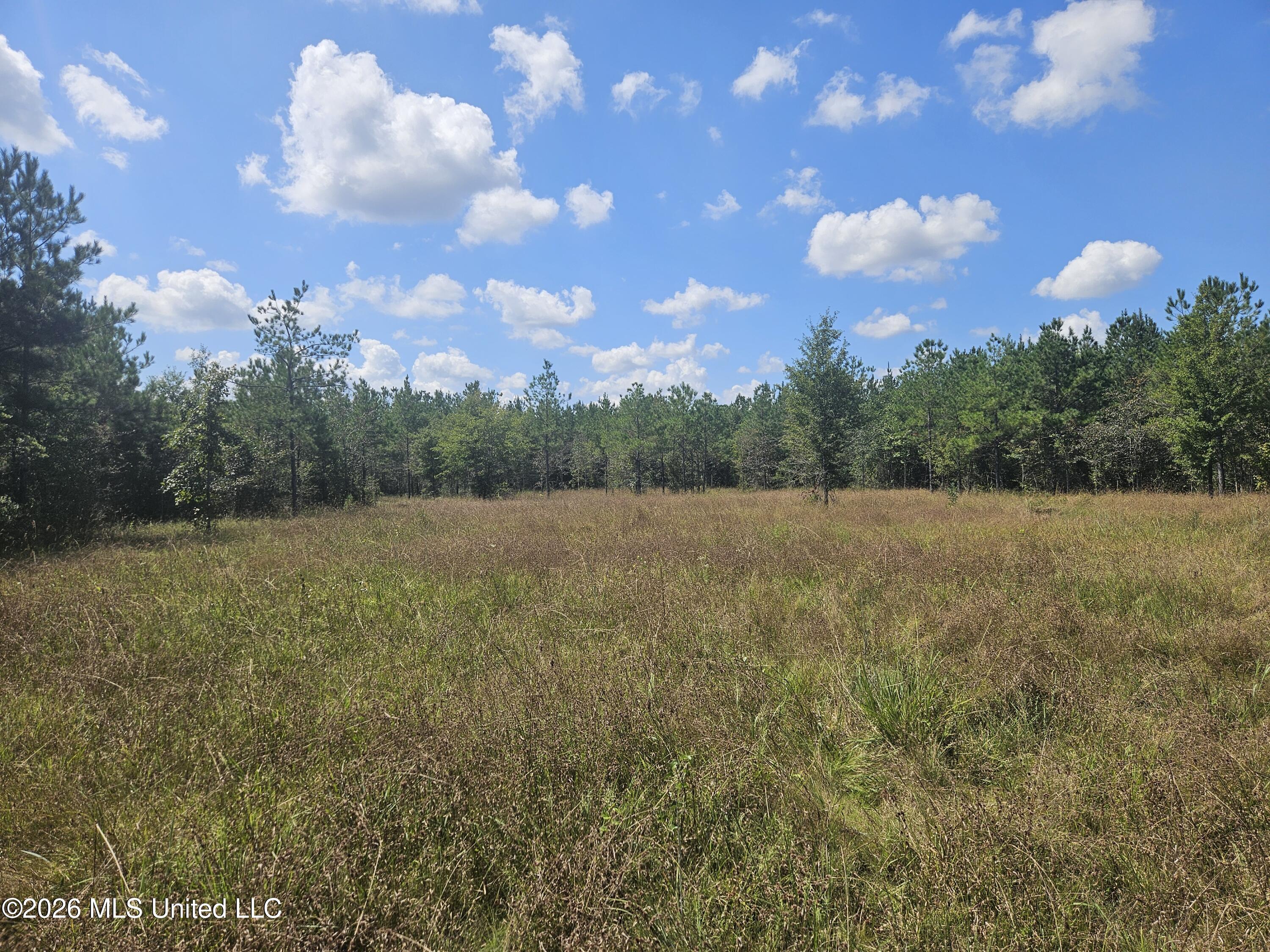 Mississippi 44 Property Photo 14