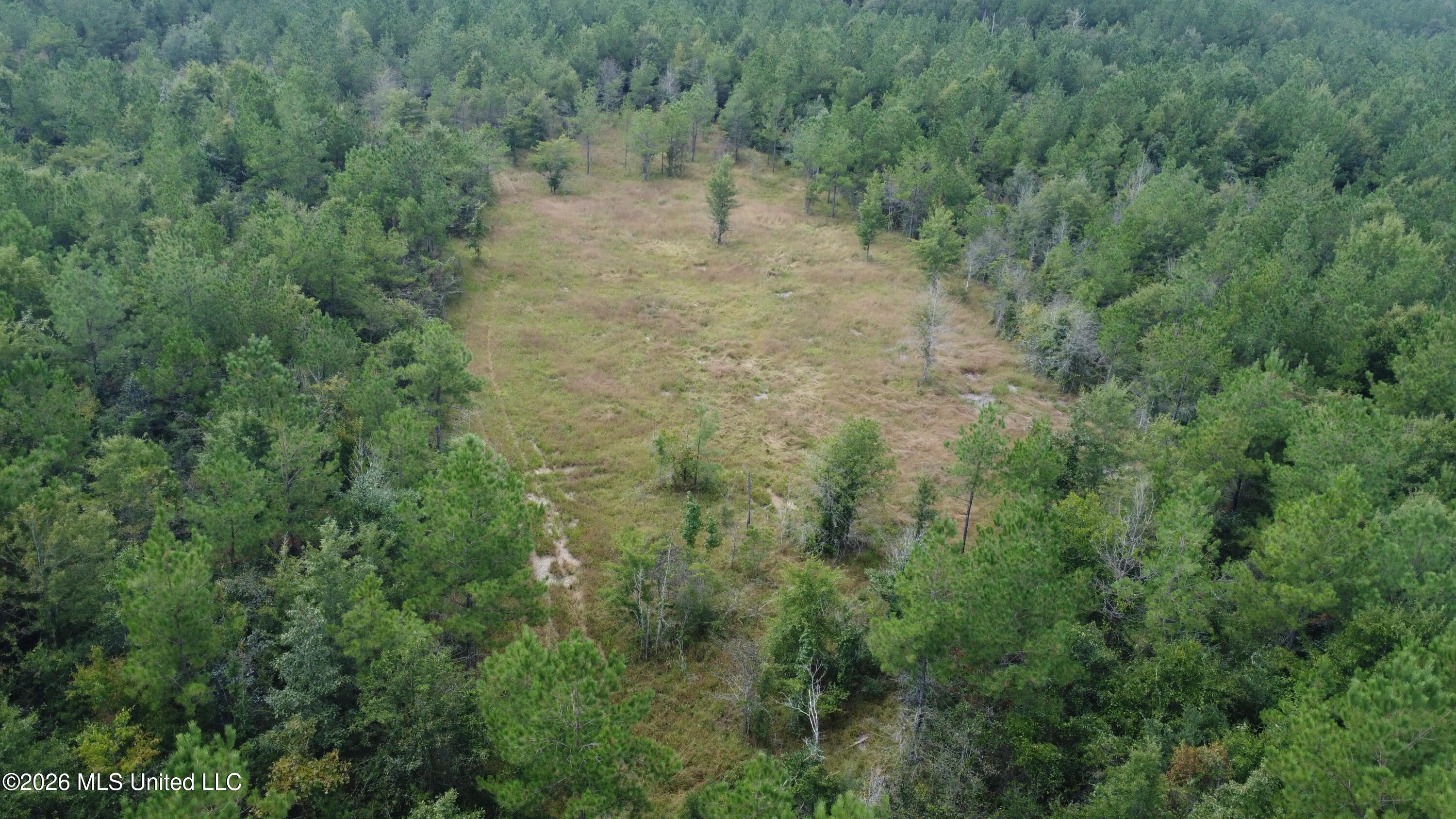 Mississippi 44 Property Photo 16