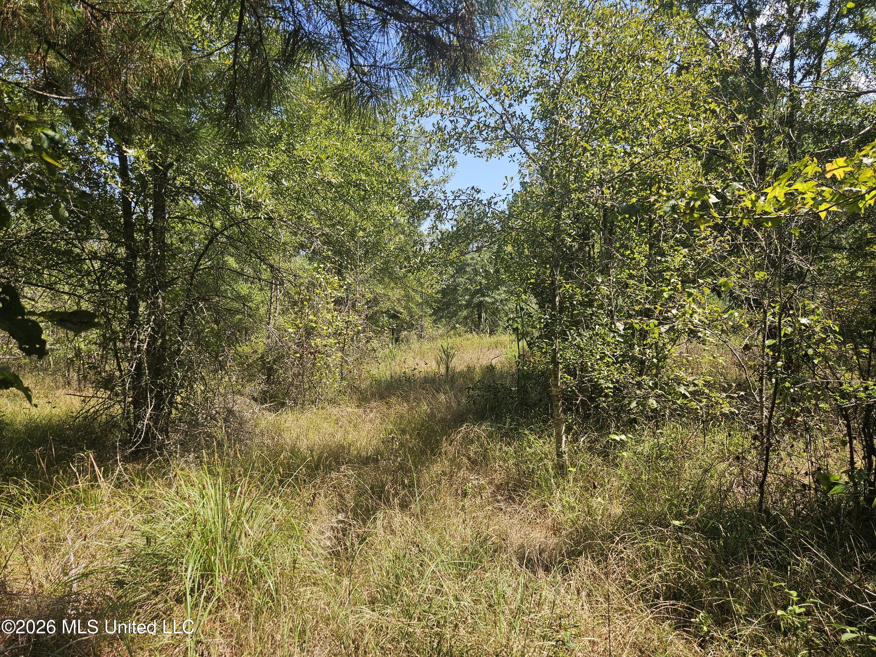 Mississippi 44 Property Photo 19