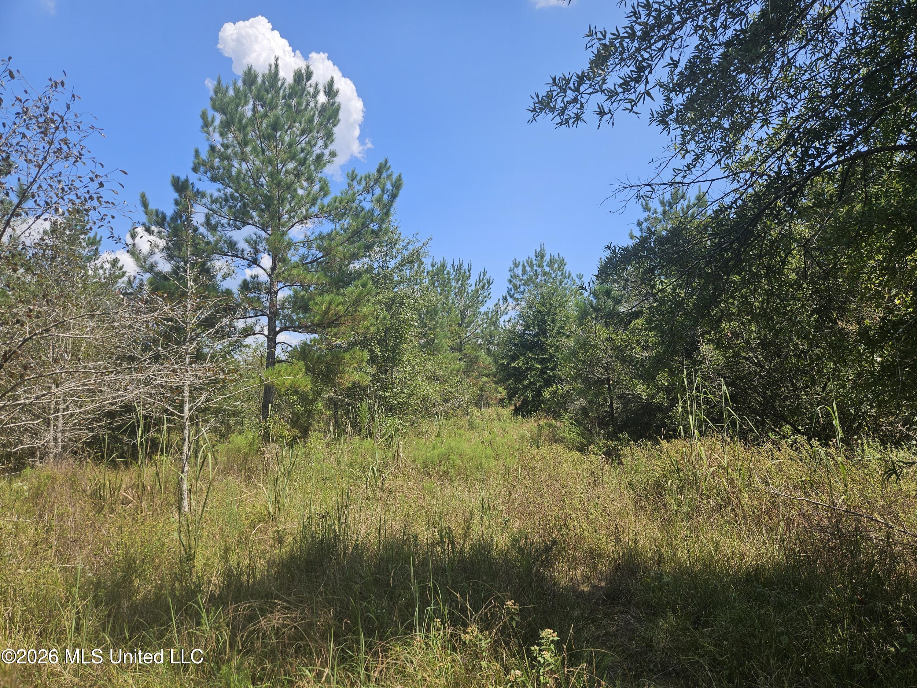 Mississippi 44 Property Photo 20