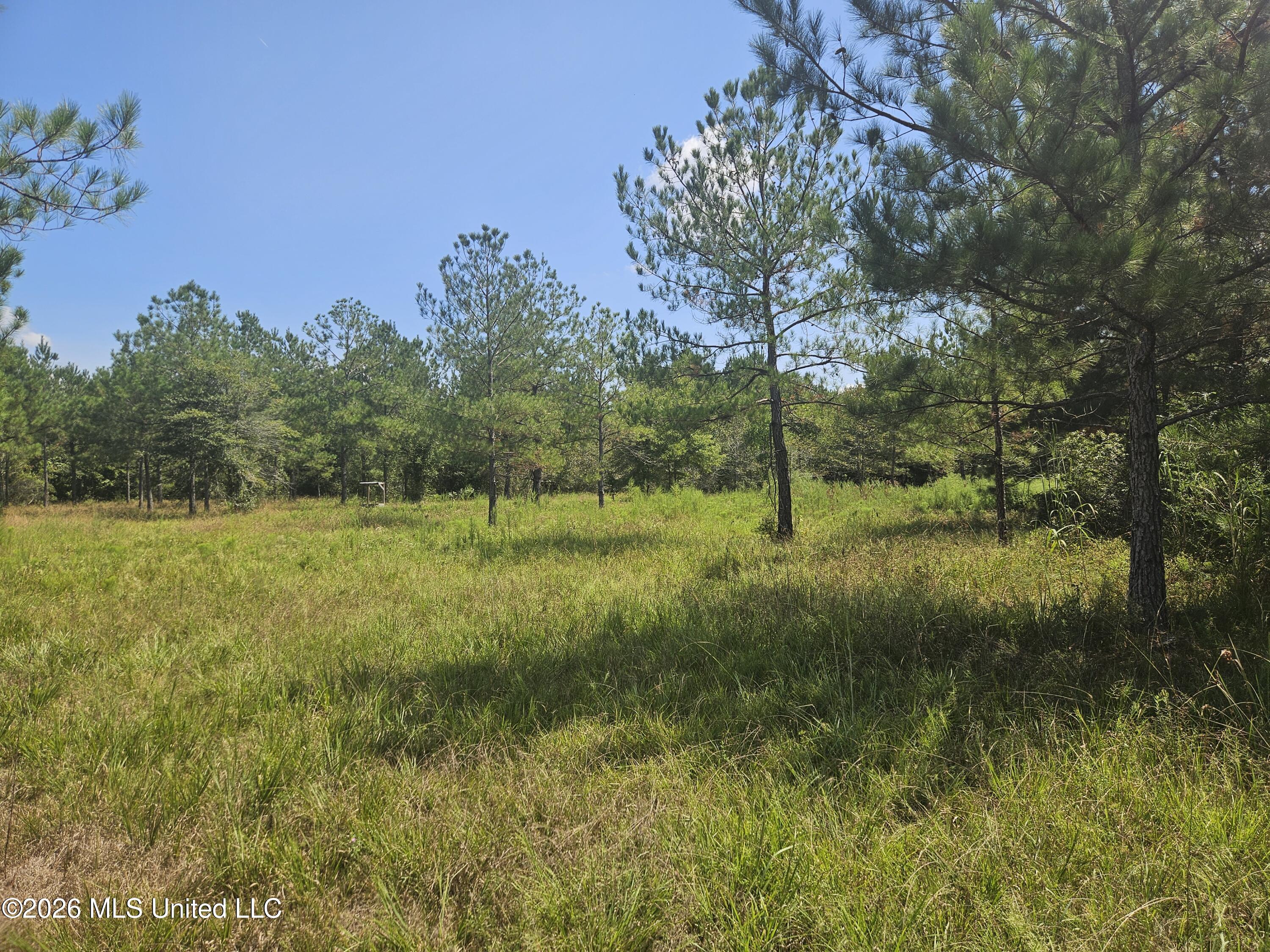 Mississippi 44 Property Photo 21