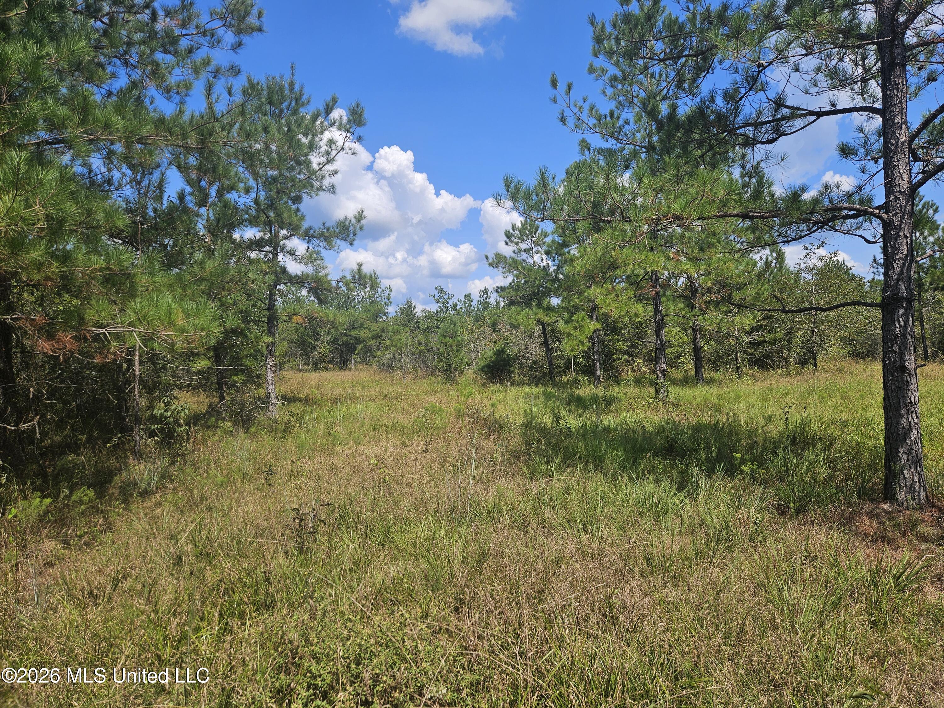 Mississippi 44 Property Photo 22