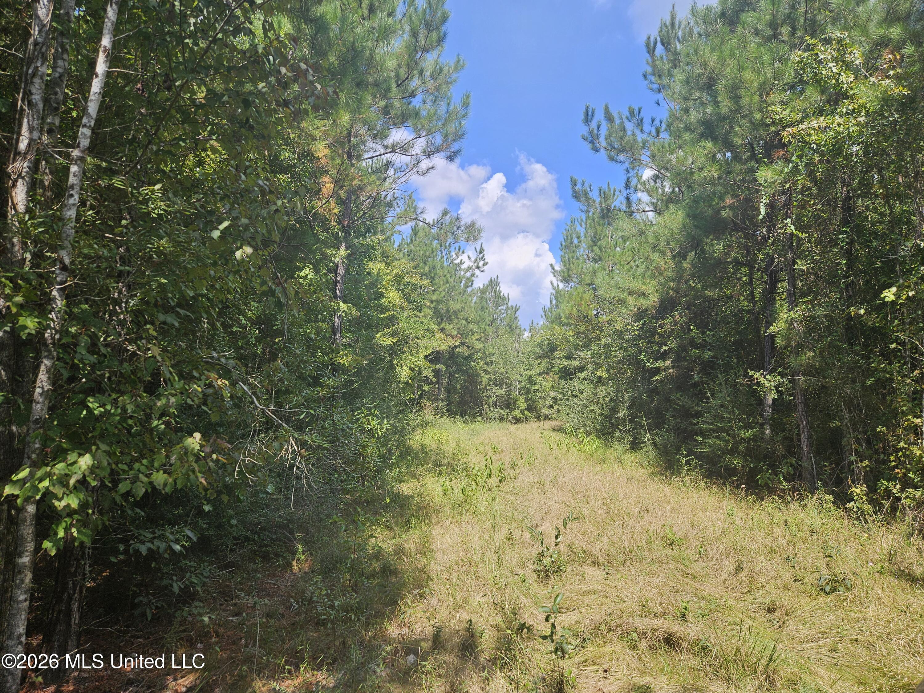 Mississippi 44 Property Photo 24
