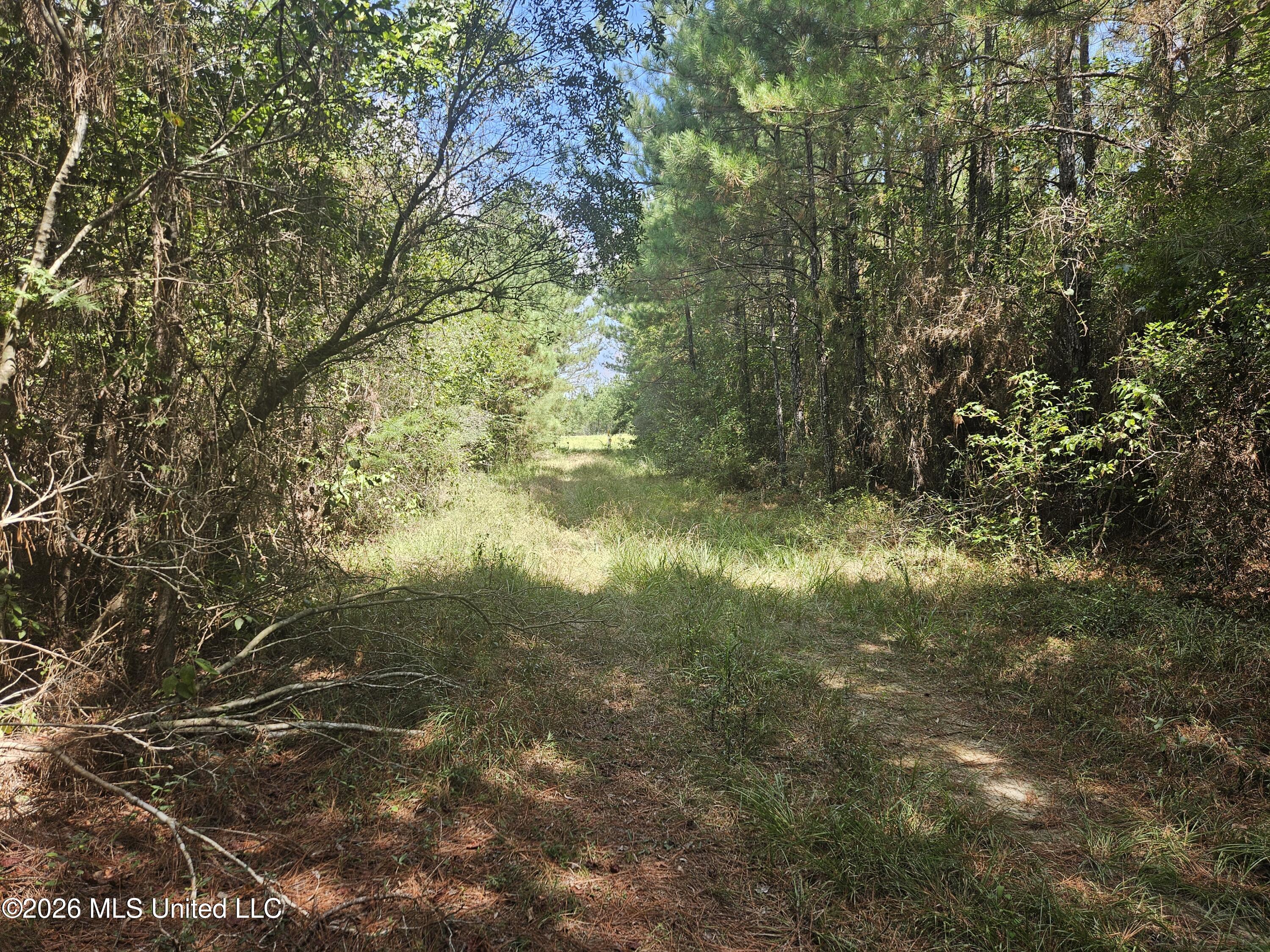 Mississippi 44 Property Photo 25