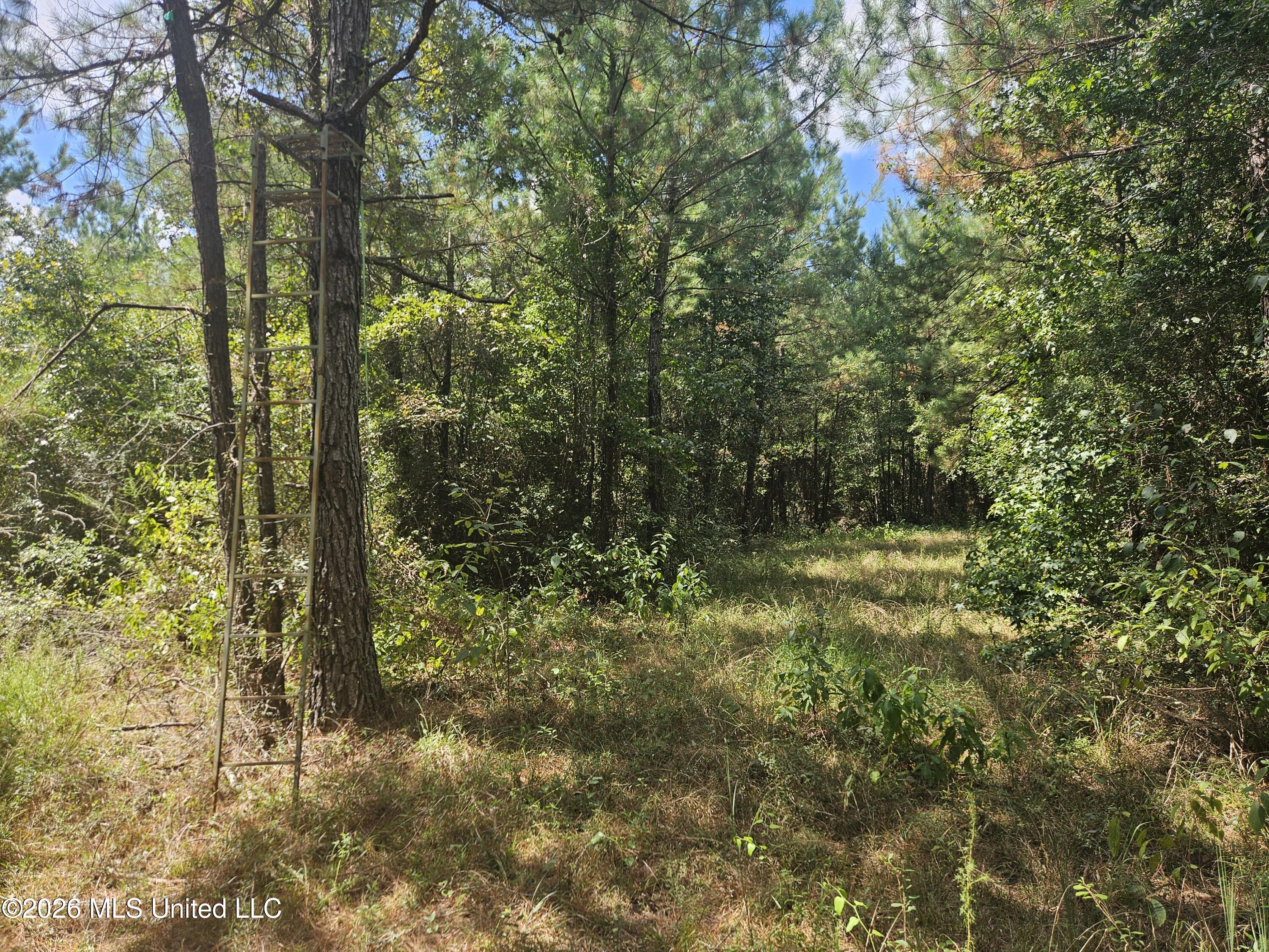 Mississippi 44 Property Photo 26