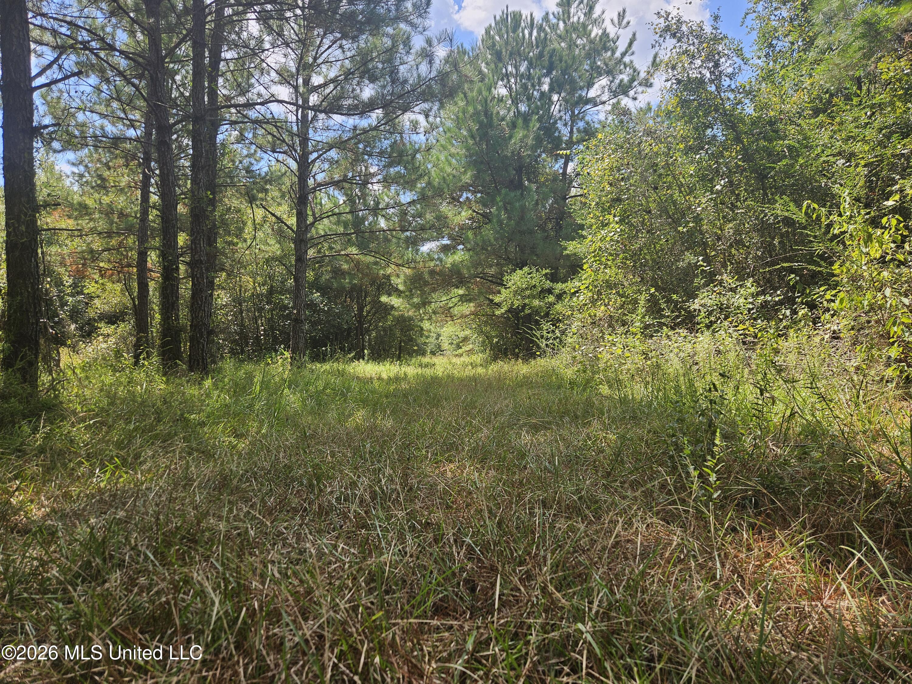 Mississippi 44 Property Photo 28