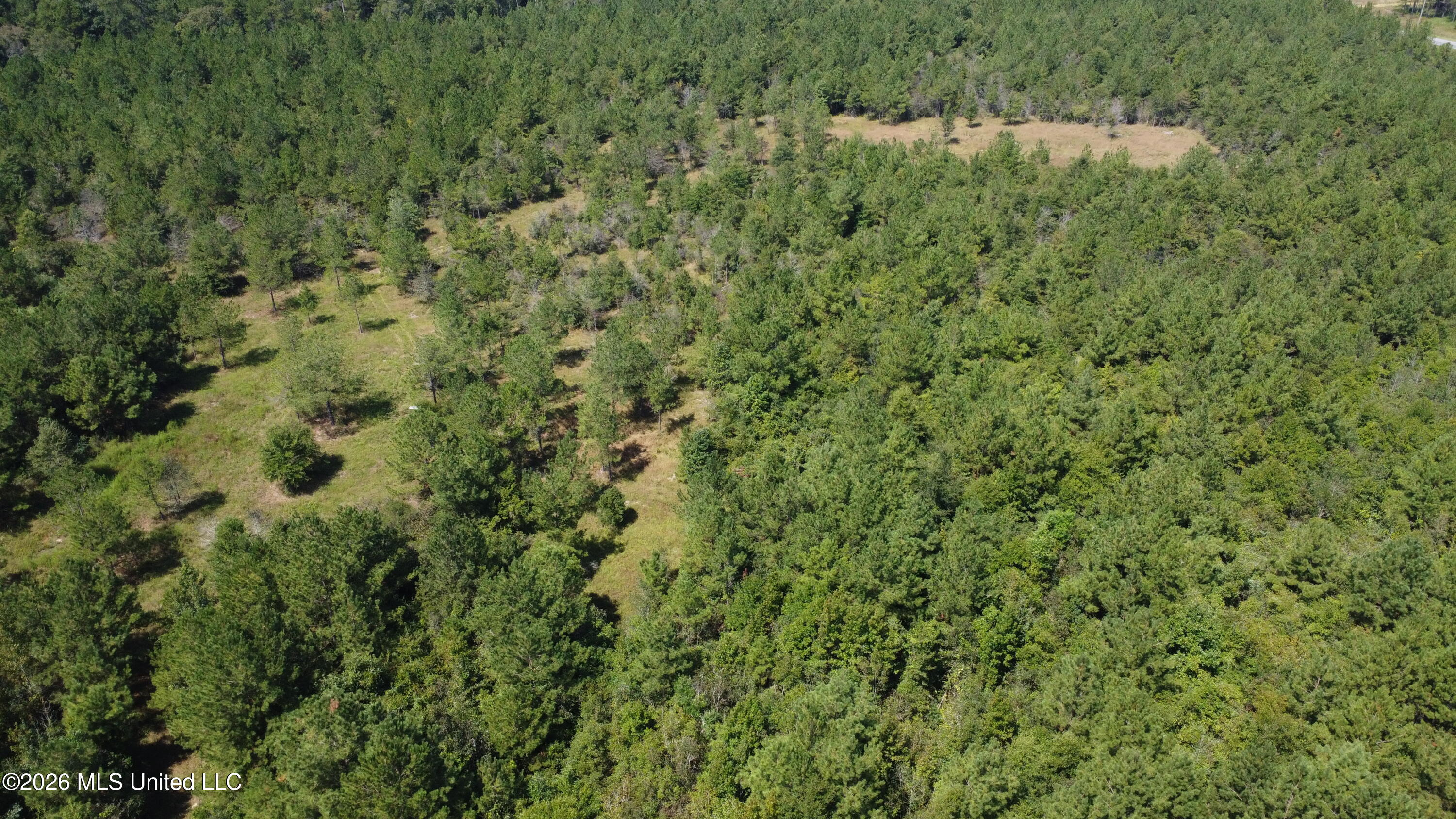 Mississippi 44 Property Photo 39