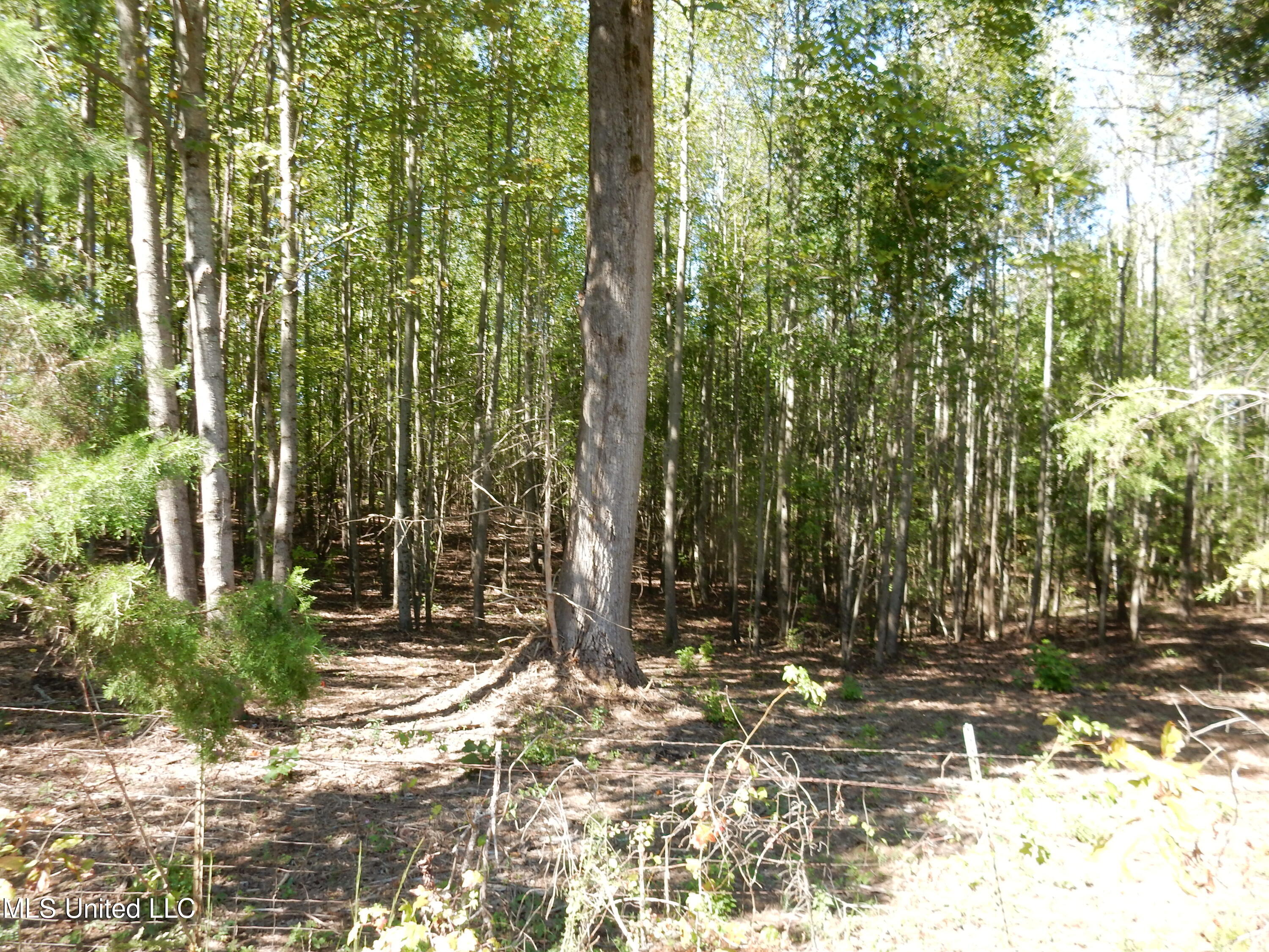Lot 1 Cypress Corner Road Property Photo 1