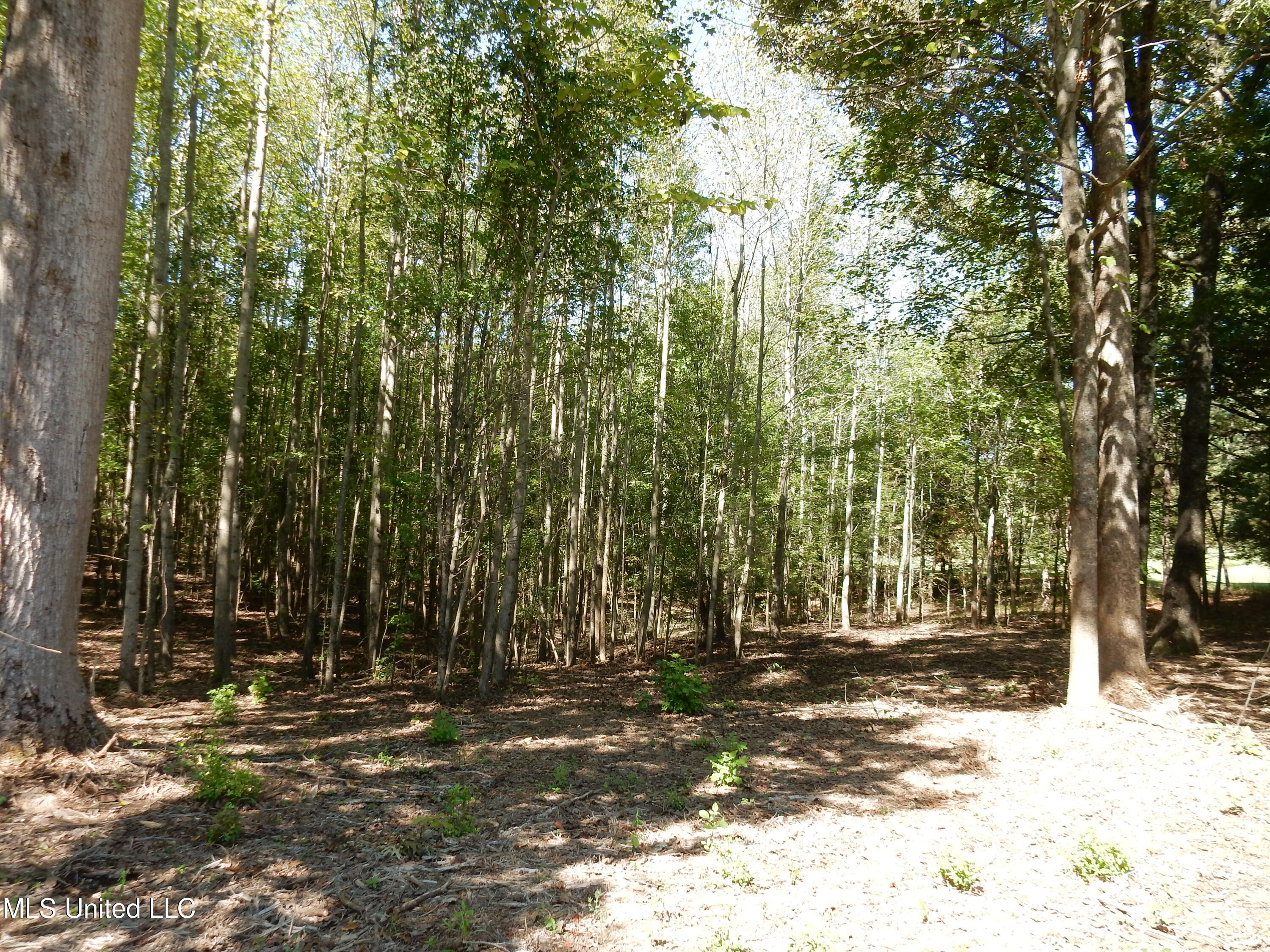 Lot 1 Cypress Corner Road Property Photo 2