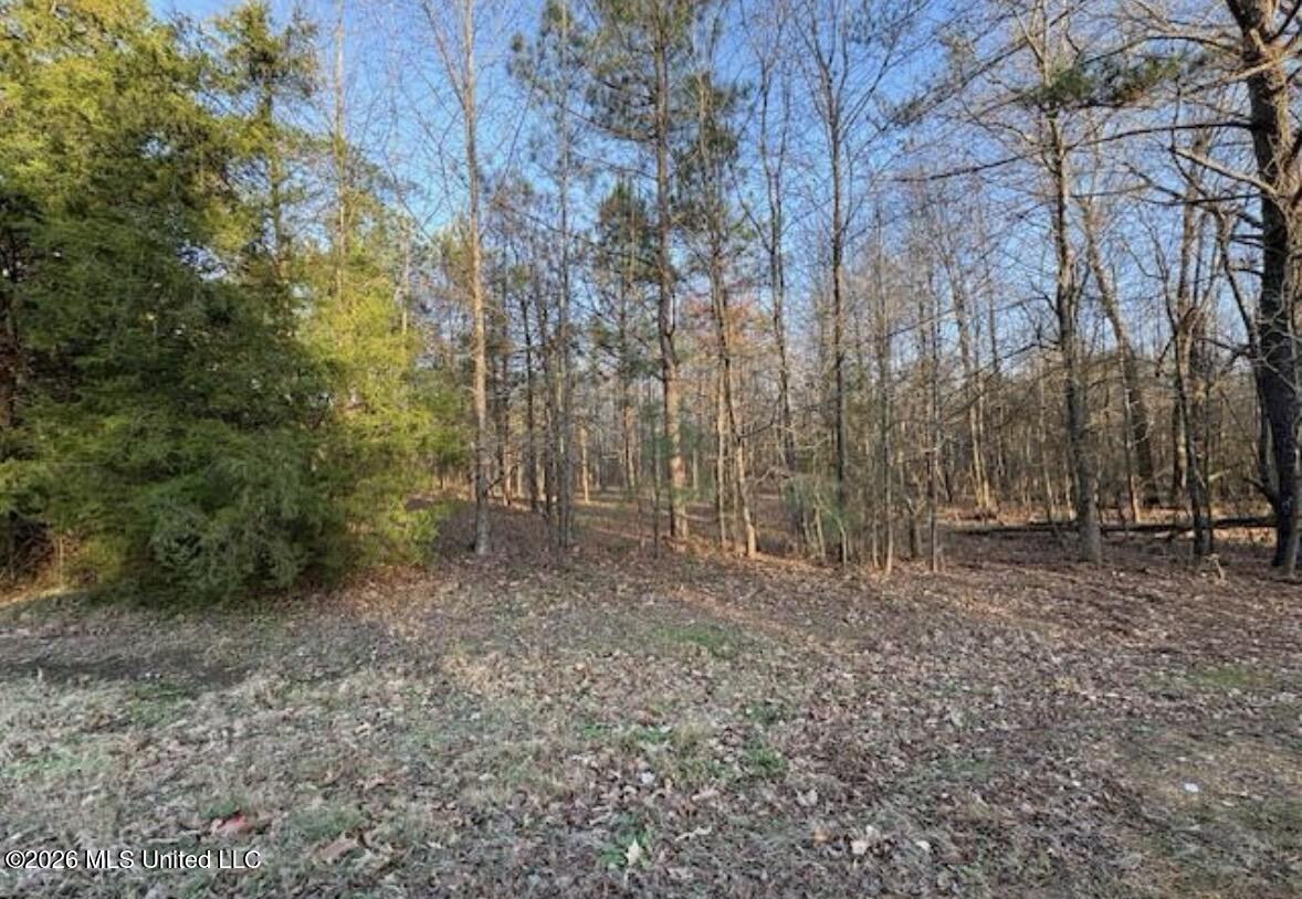1397 Gravel Springs Road Property Photo 1