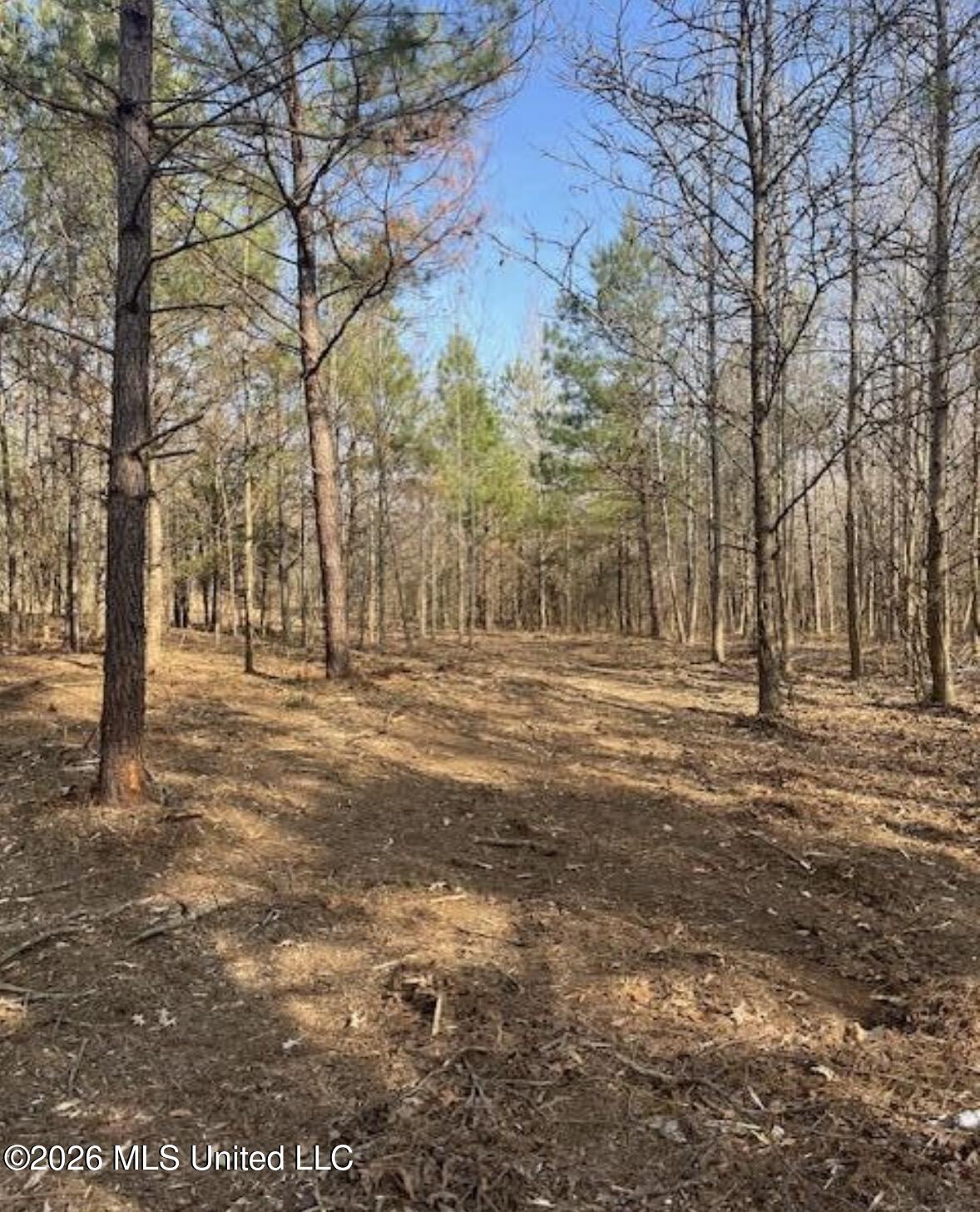 1397 Gravel Springs Road Property Photo 2