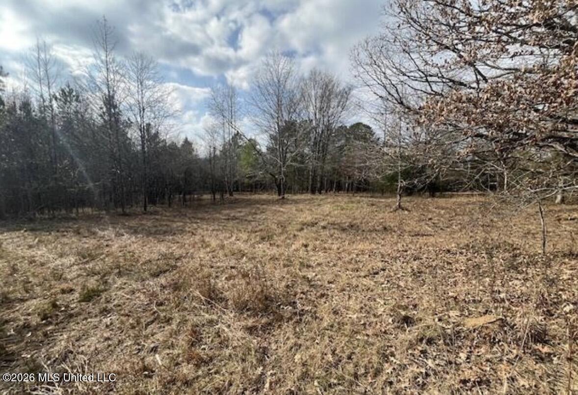 1397 Gravel Springs Road Property Photo 3