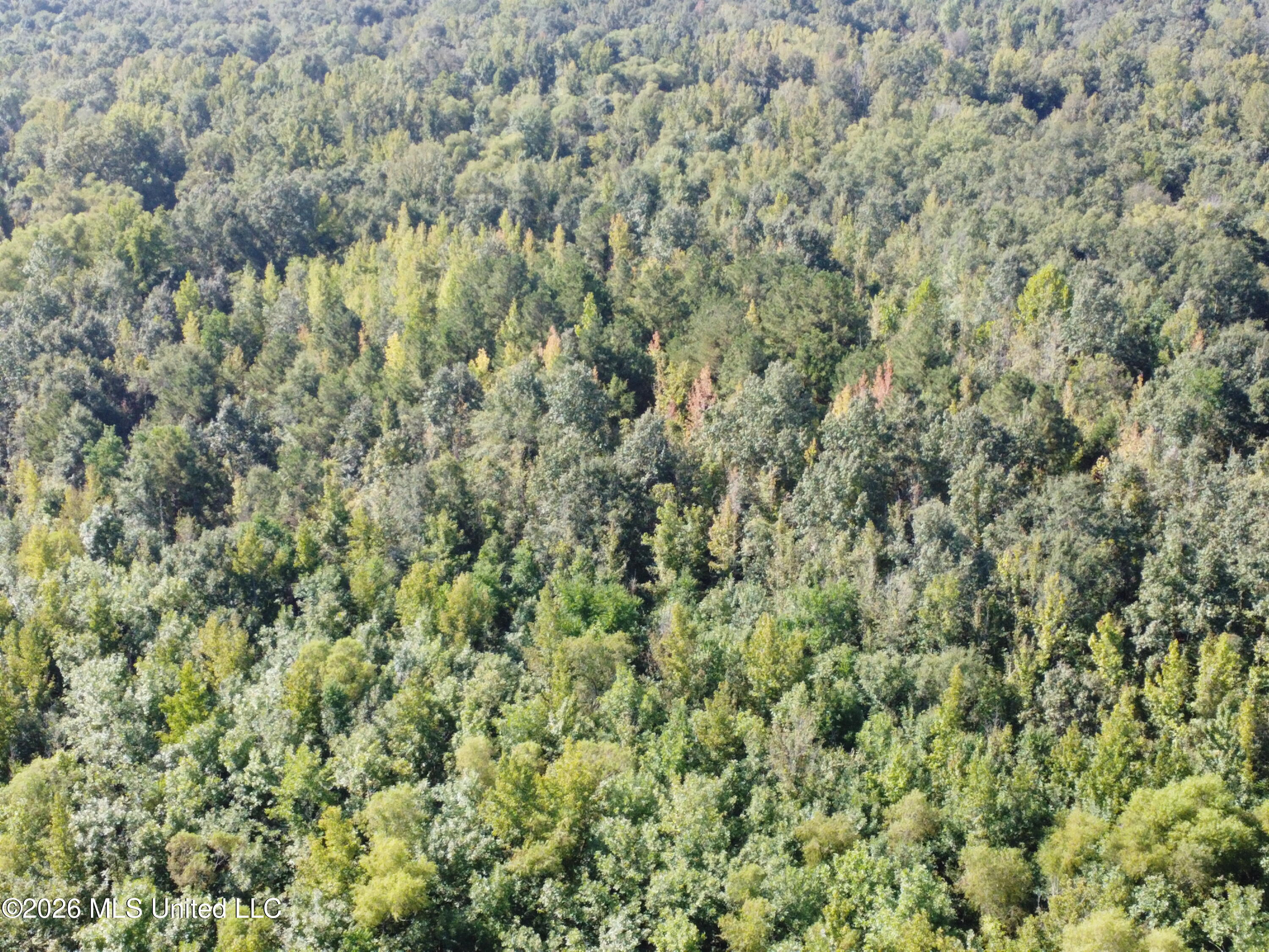 469 Lot #1 Pearl Drive Property Photo 4