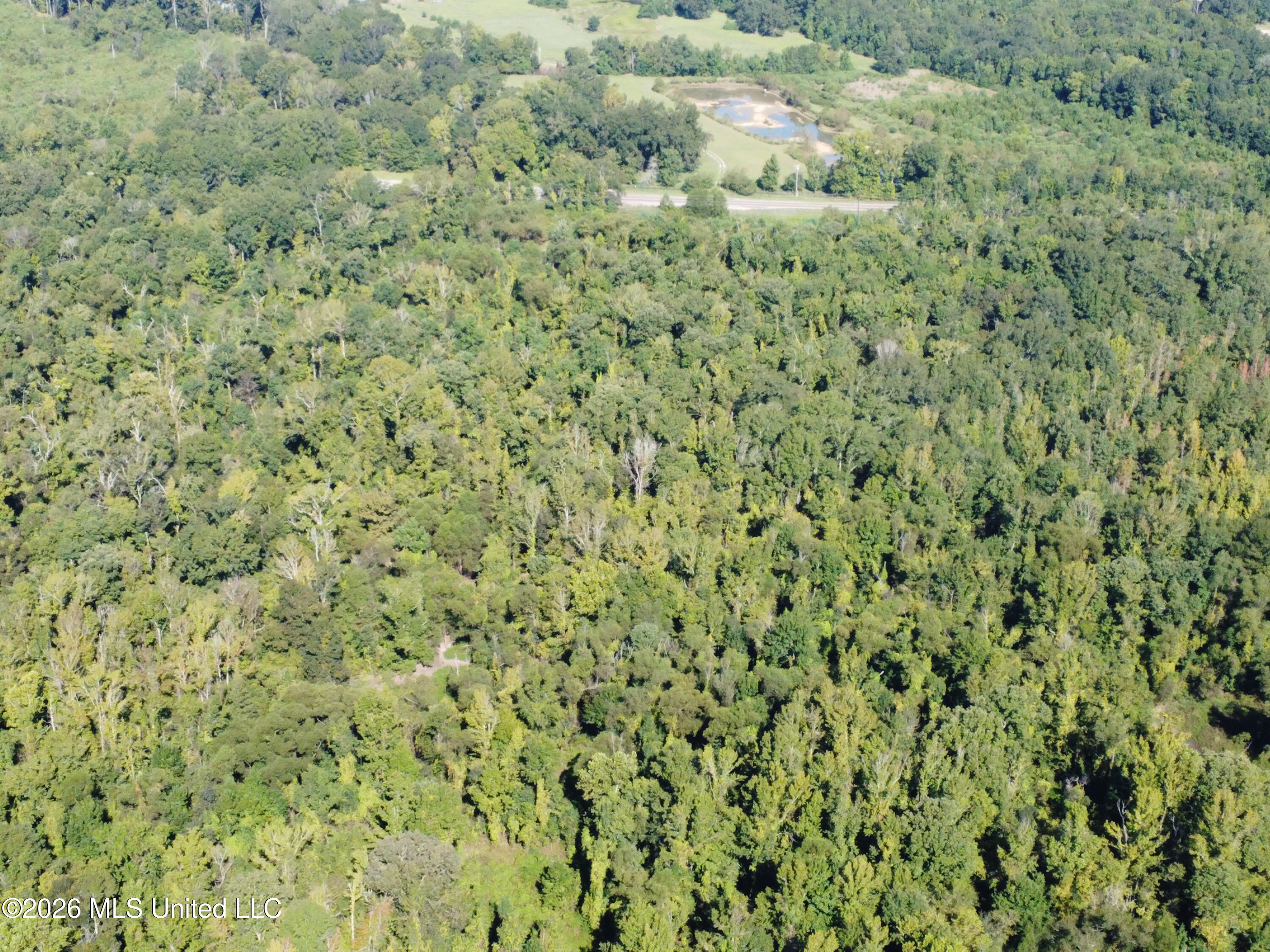 469 Lot #1 Pearl Drive Property Photo 5