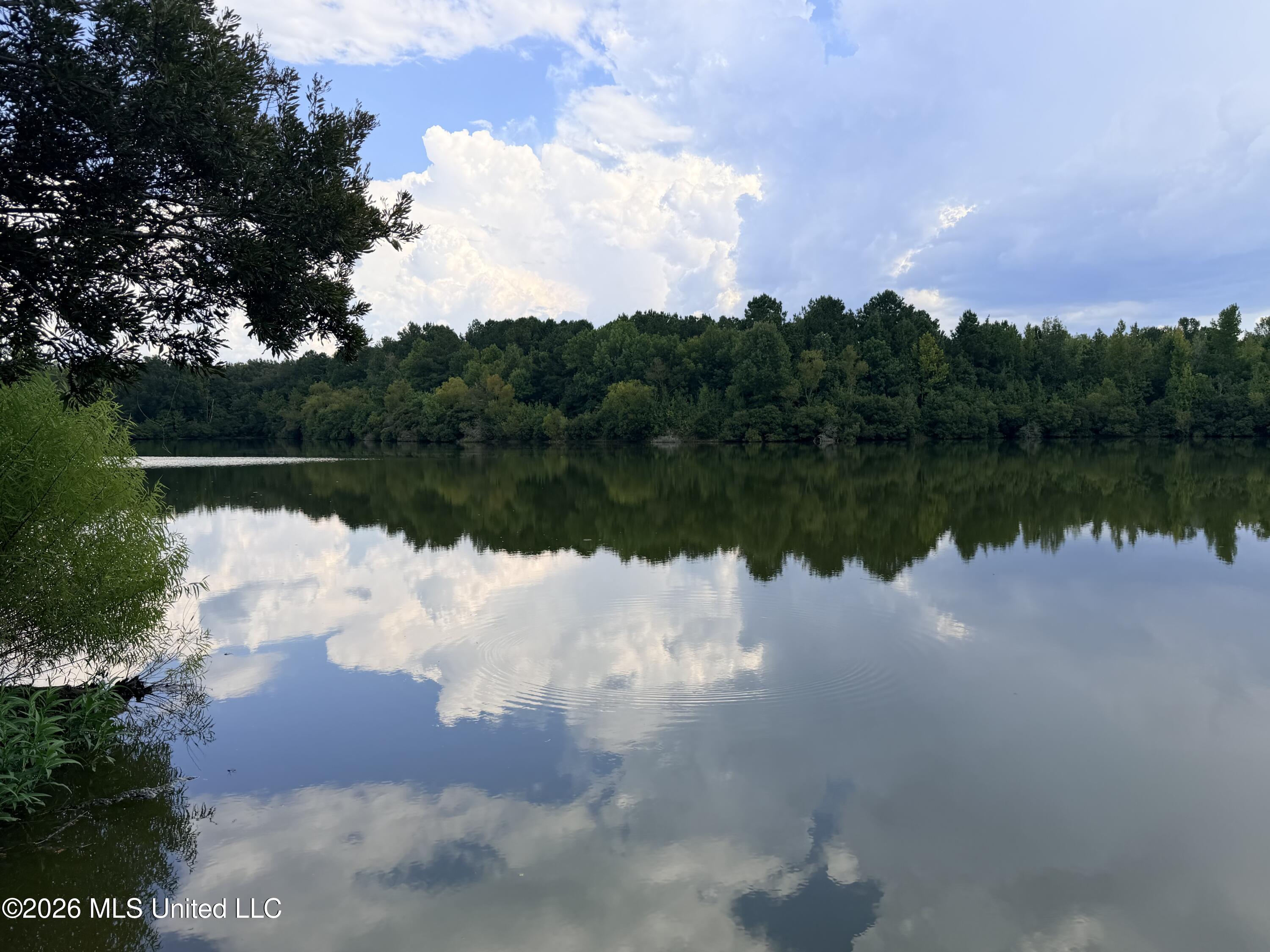 469 Lot #1 Pearl Drive Property Photo 9