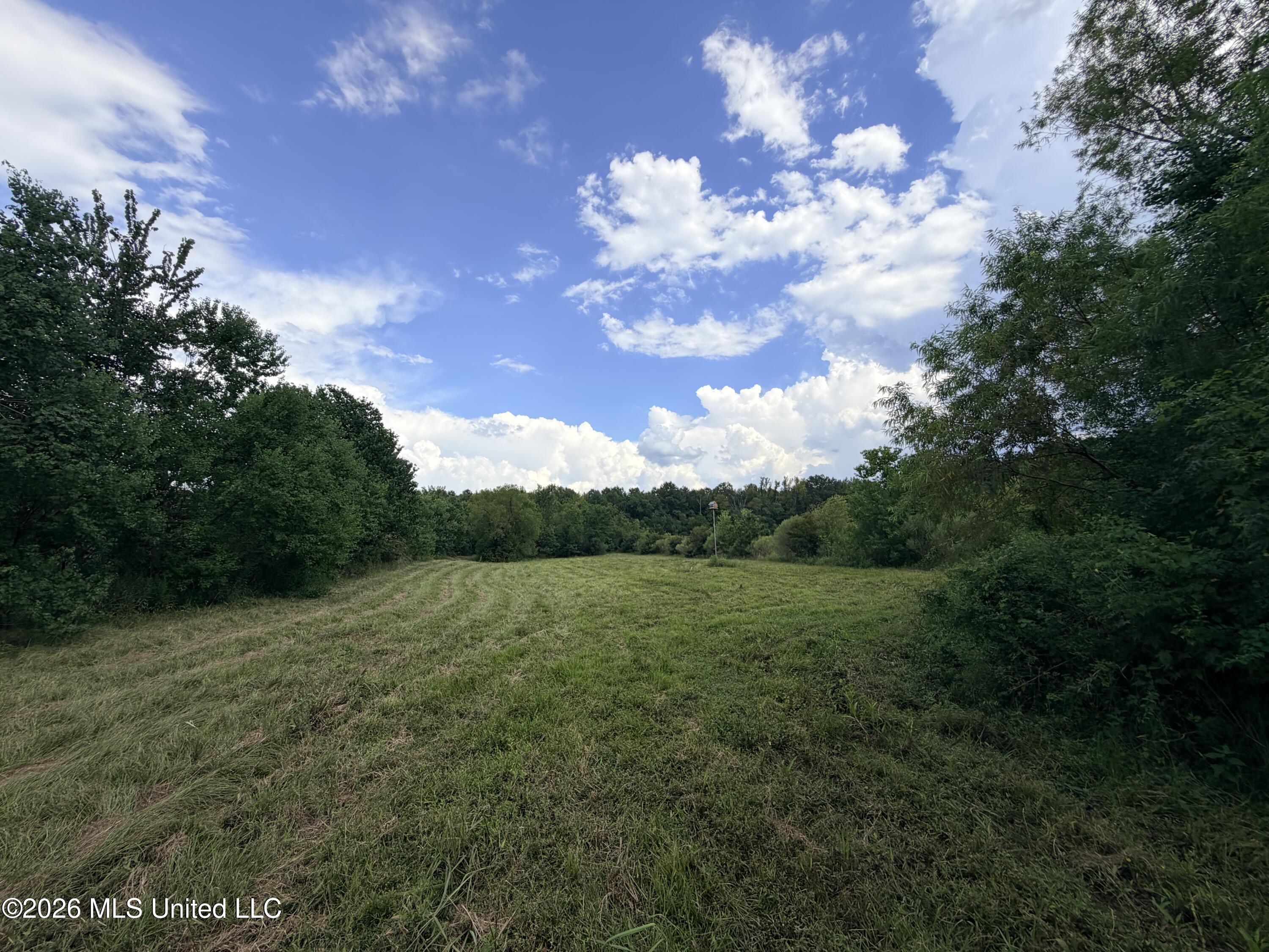 469 Lot #1 Pearl Drive Property Photo 10