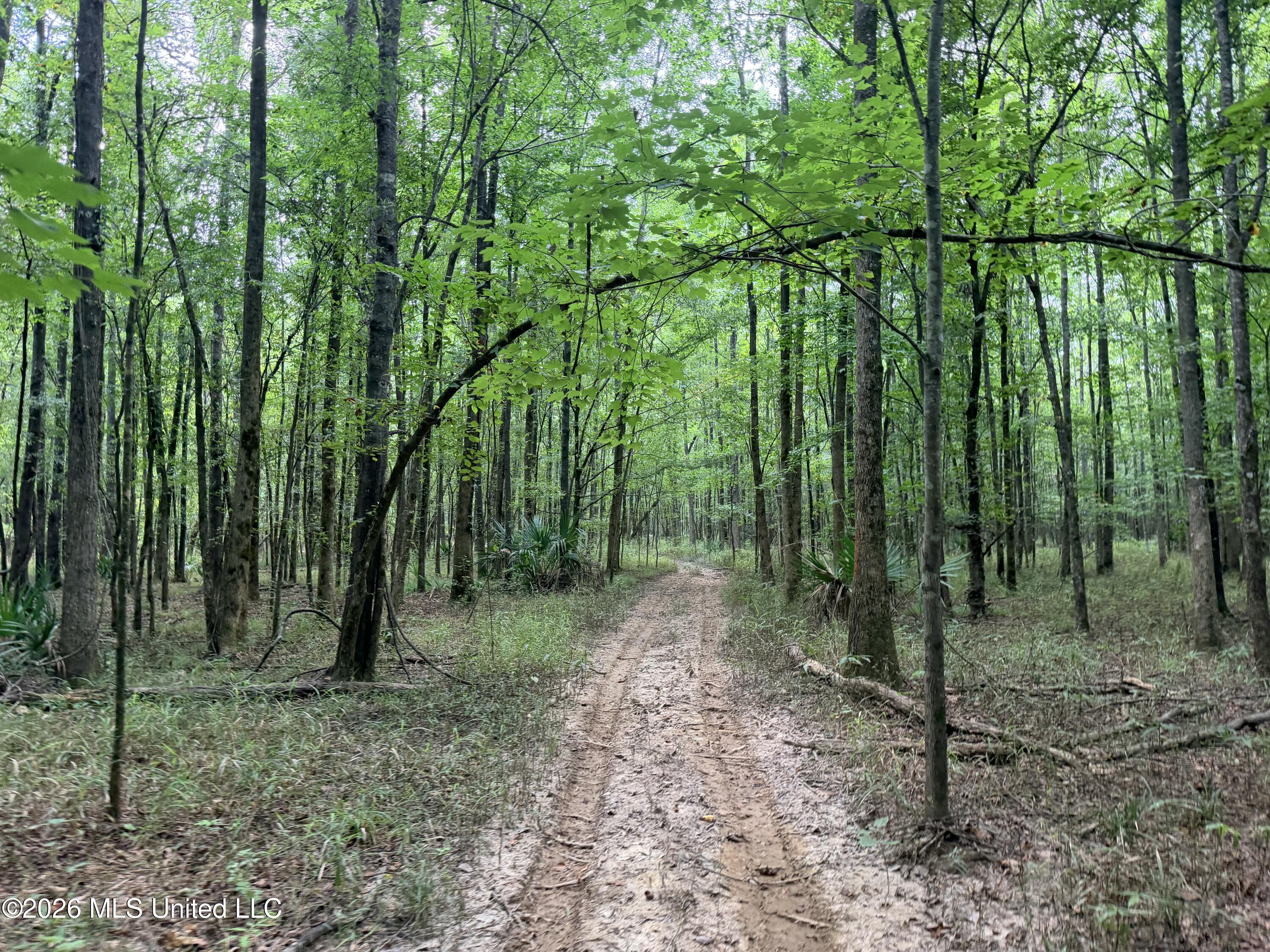 469 Lot #1 Pearl Drive Property Photo 11