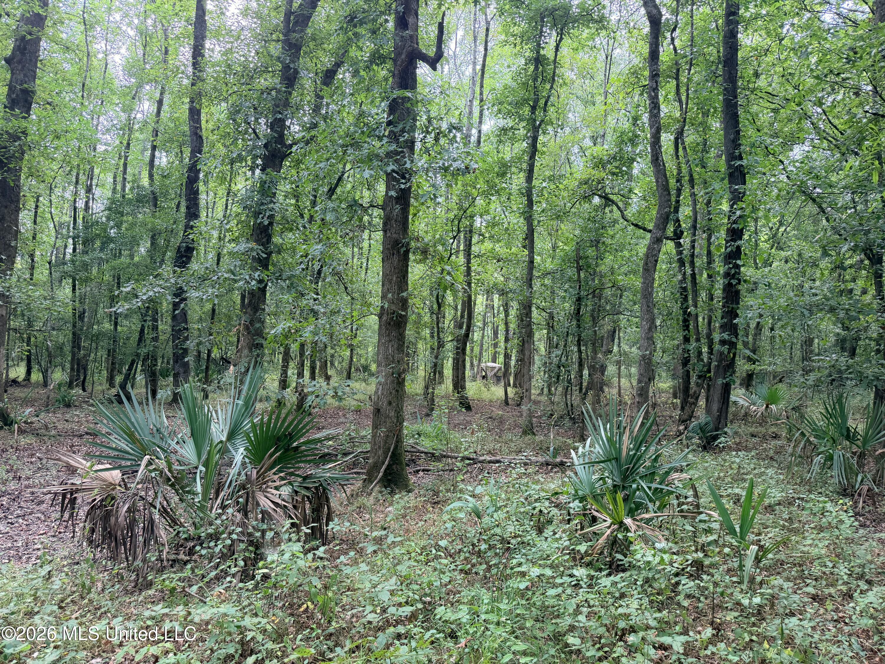 469 Lot #1 Pearl Drive Property Photo 13